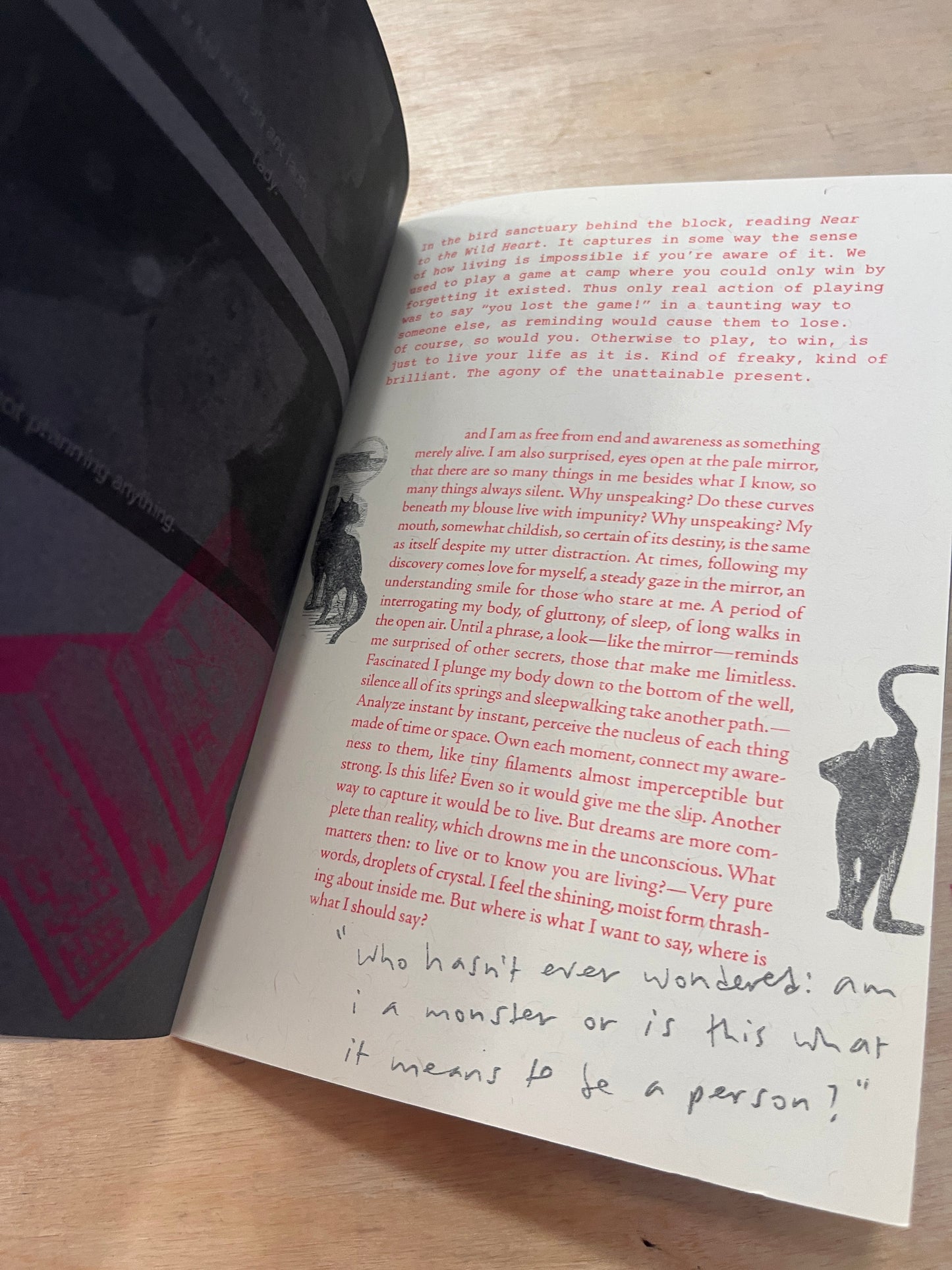 Void Incorporated Issue #2: The Shadow