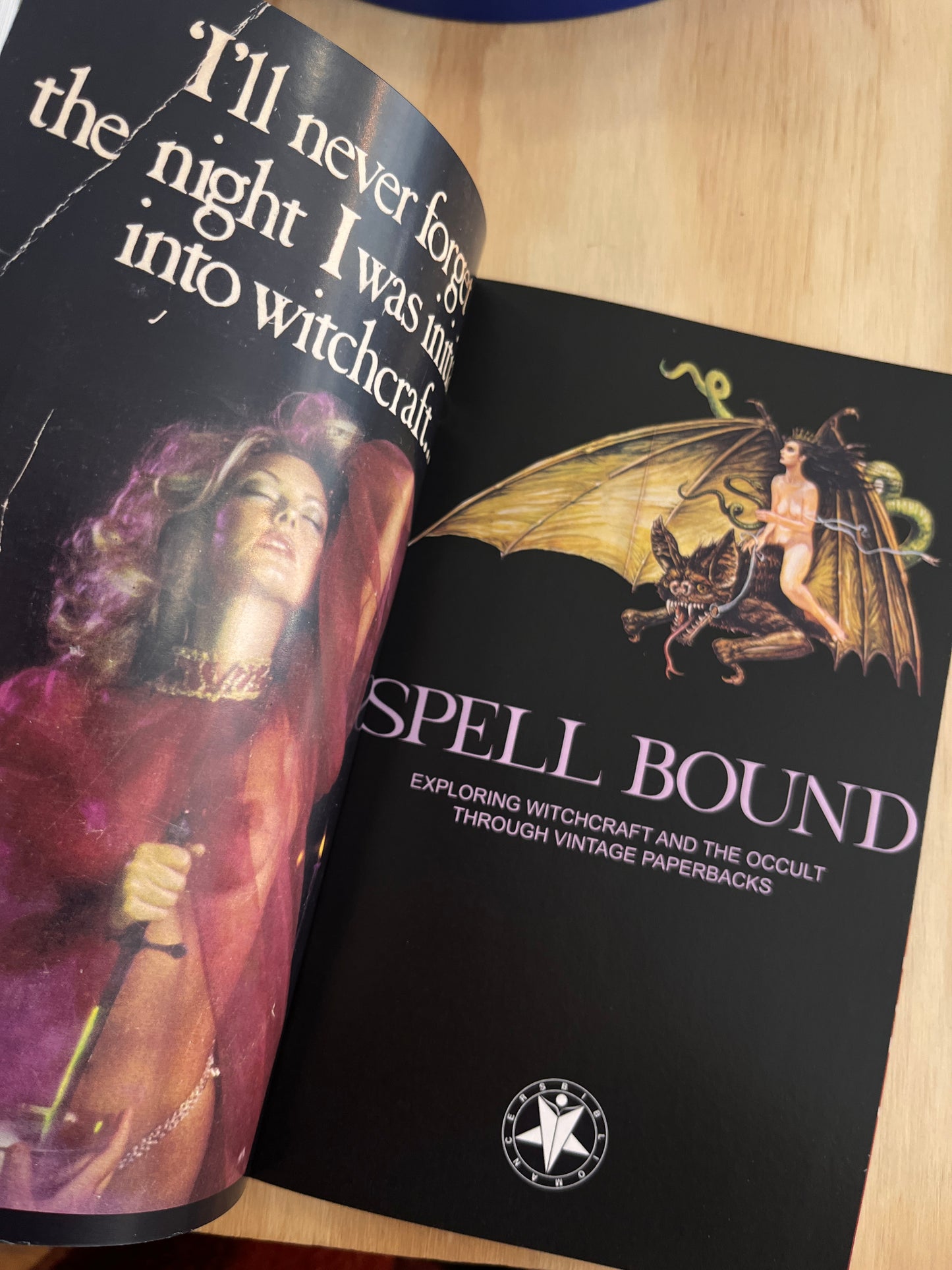 Spell Bound: Exploring Witchcraft and the Occult Through Vintage Paperbacks (3rd Printing)