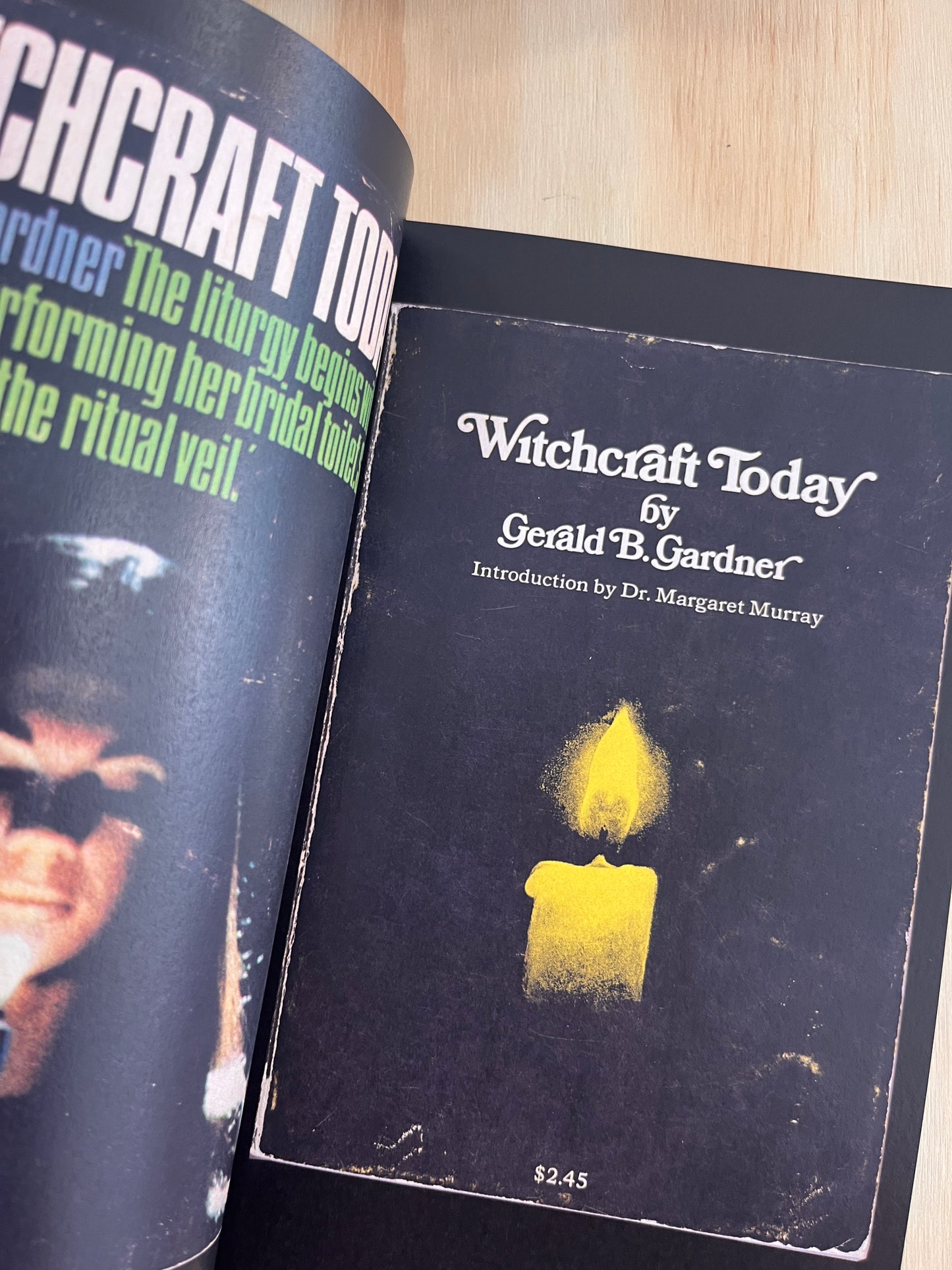 Spell Bound: Exploring Witchcraft and the Occult Through Vintage Paperbacks (3rd Printing)