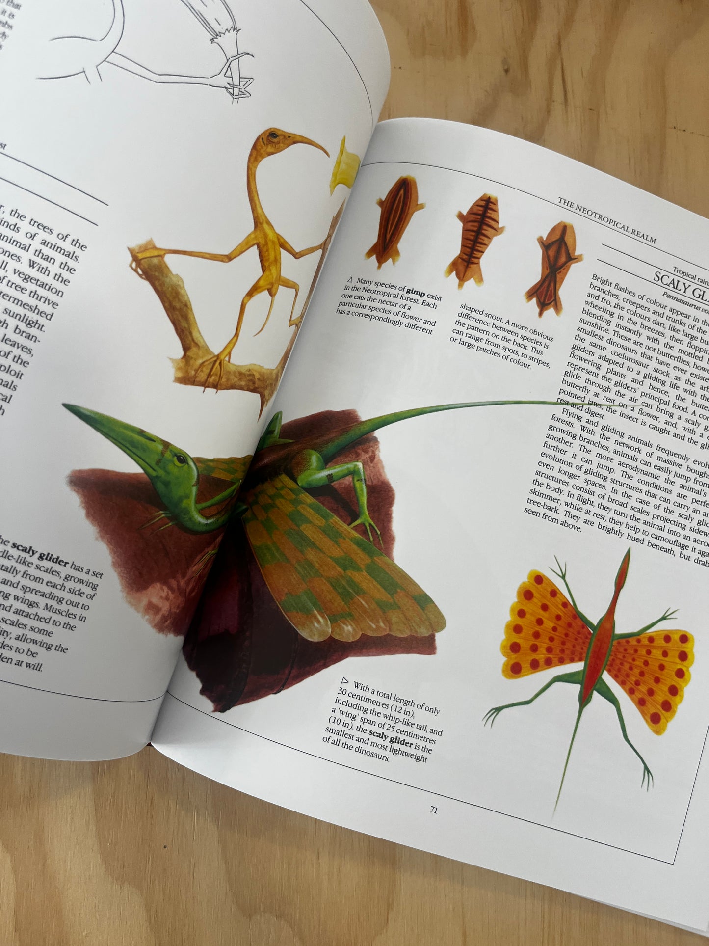 The New Dinosaurs: An Alternative Evolution by Dougal Dixon