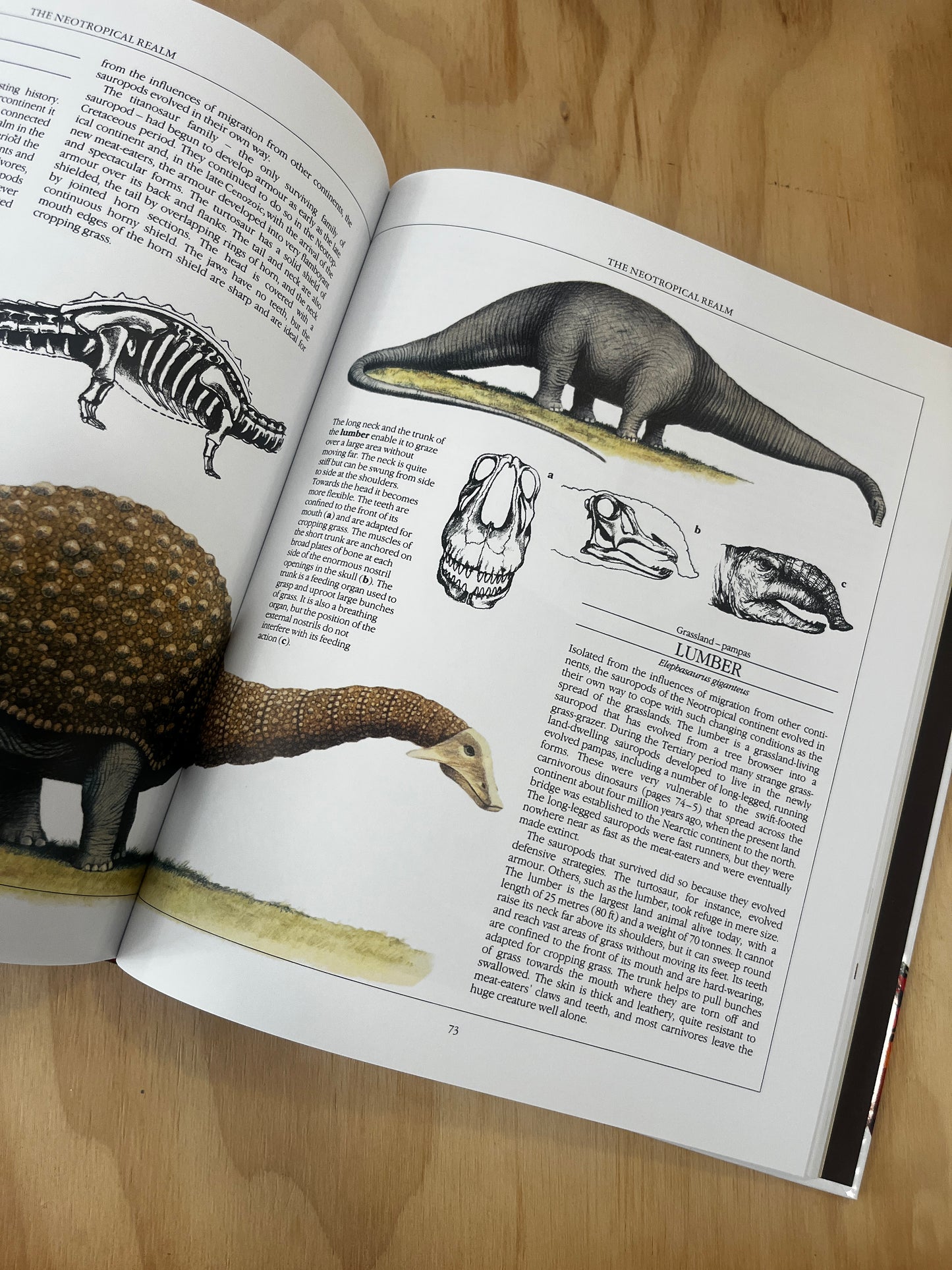 The New Dinosaurs: An Alternative Evolution by Dougal Dixon