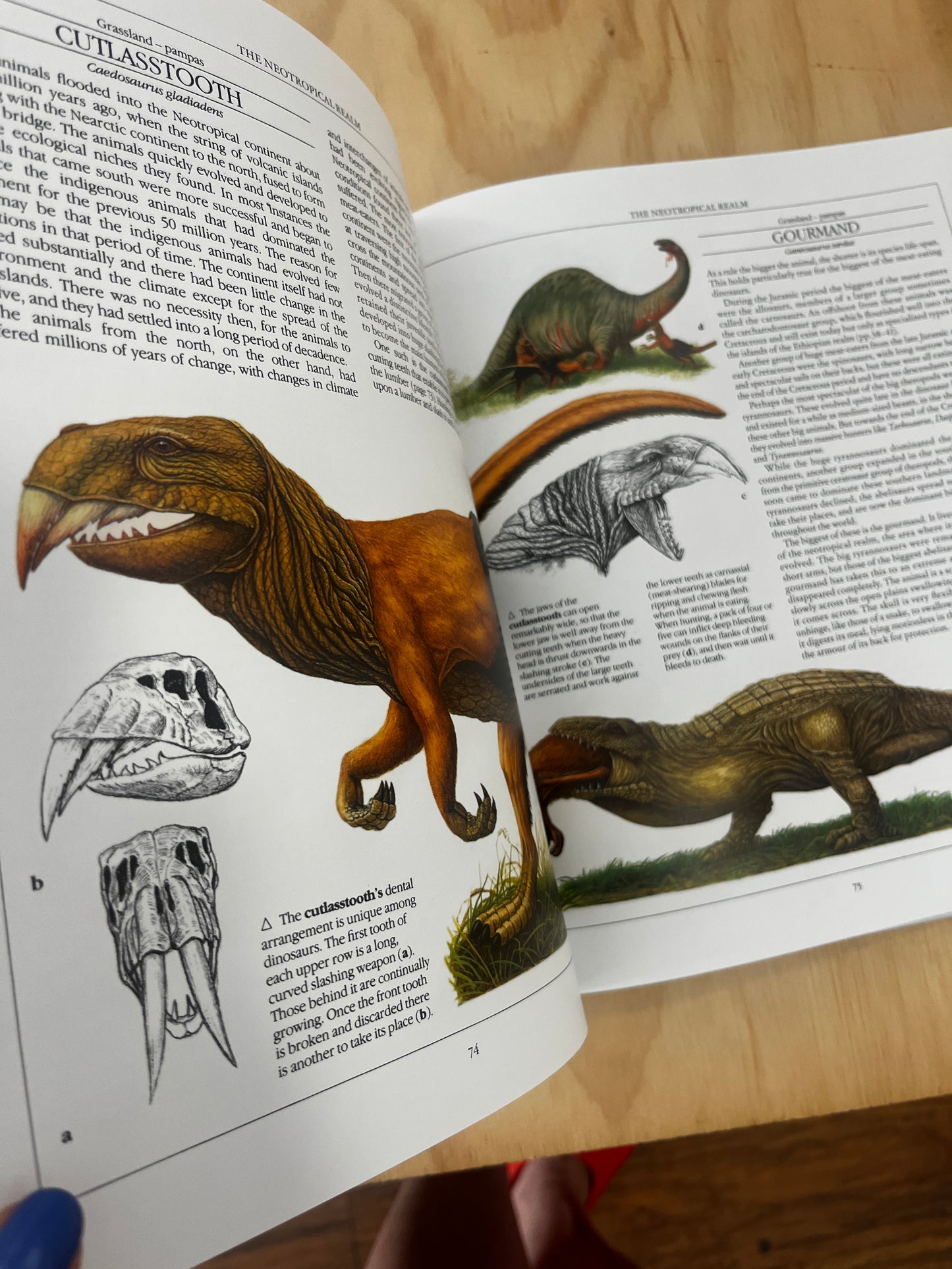 The New Dinosaurs: An Alternative Evolution by Dougal Dixon