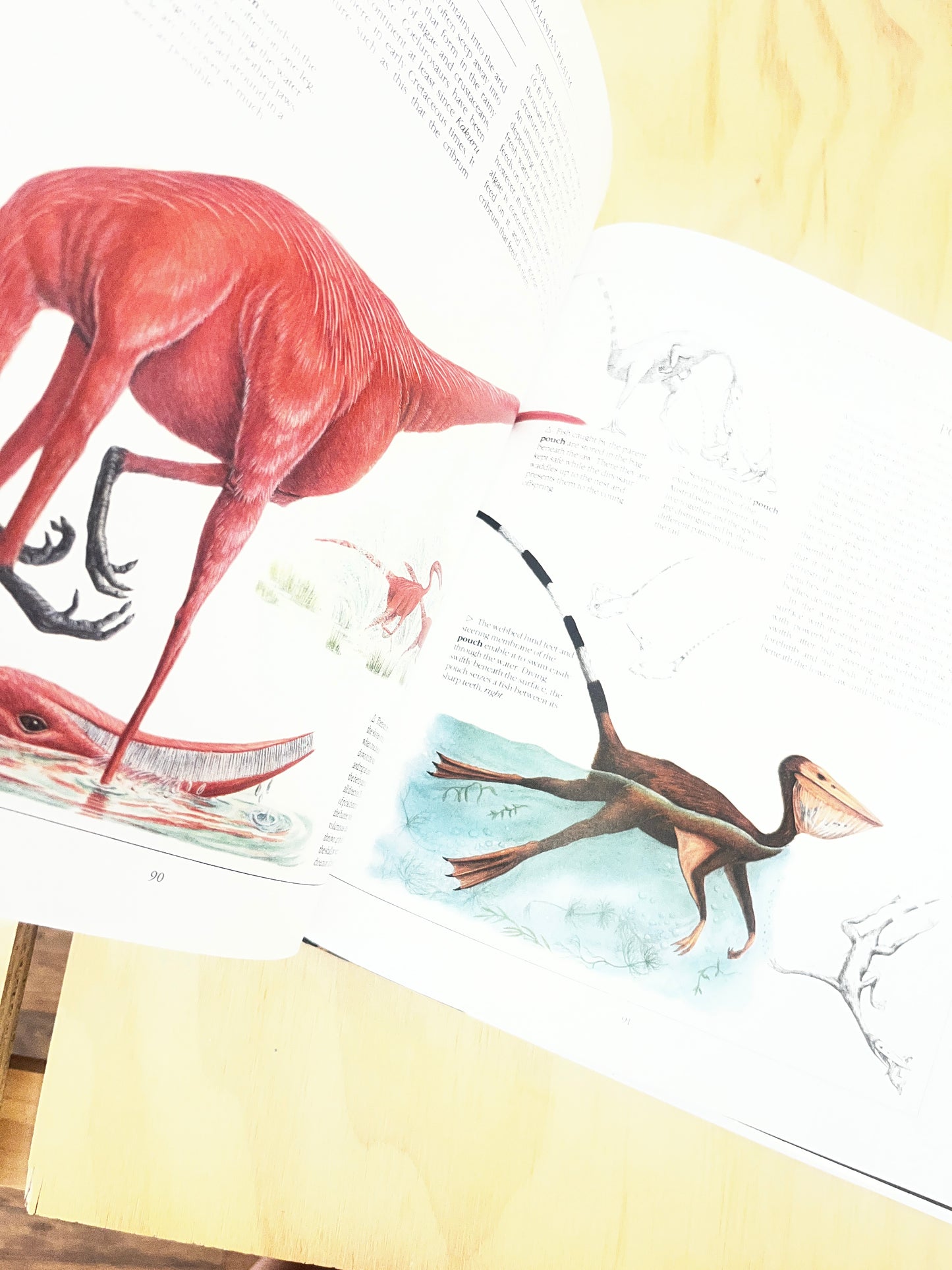The New Dinosaurs: An Alternative Evolution by Dougal Dixon