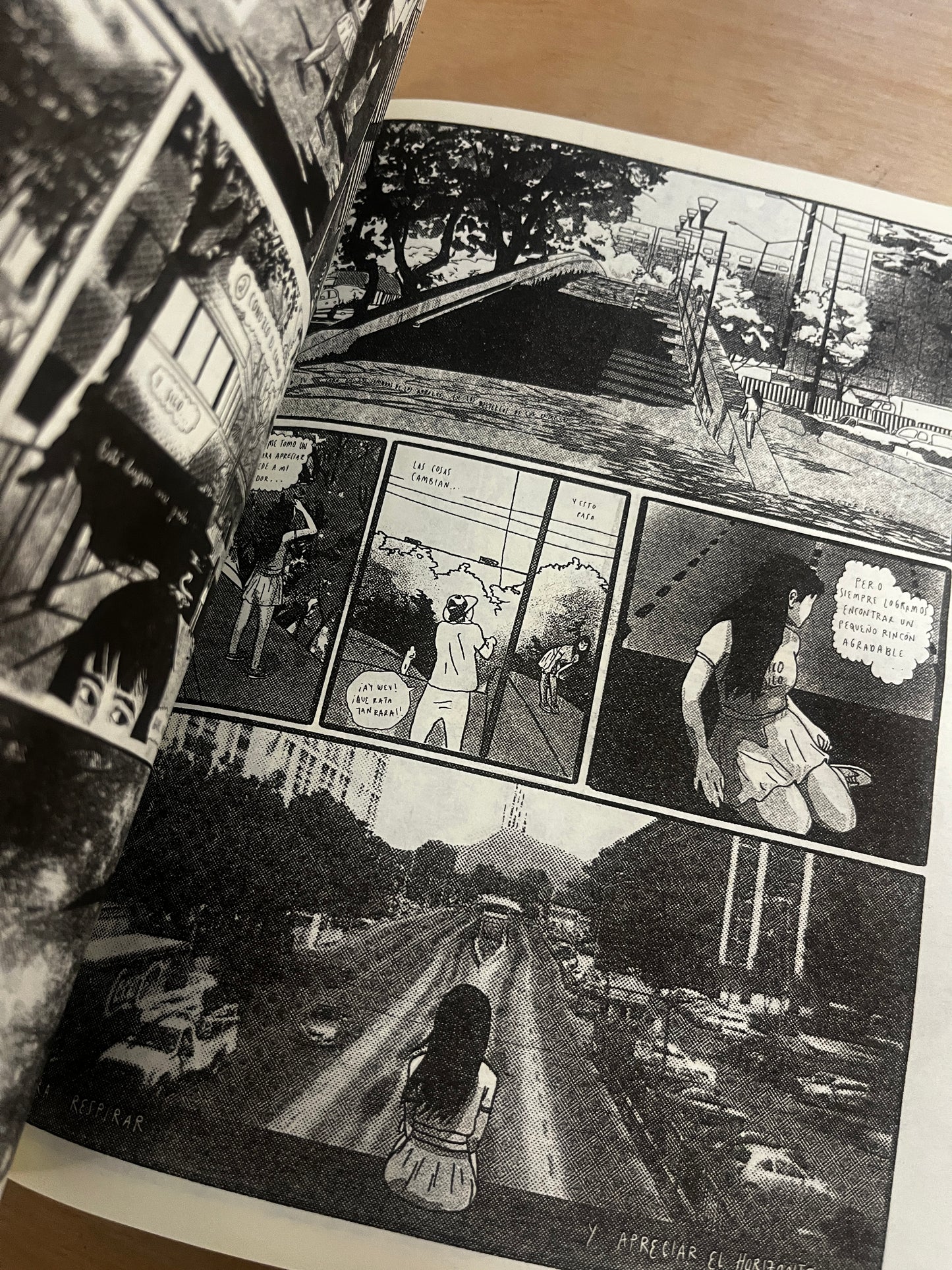 BABY SHOWER – GRUPO SHAMPOO