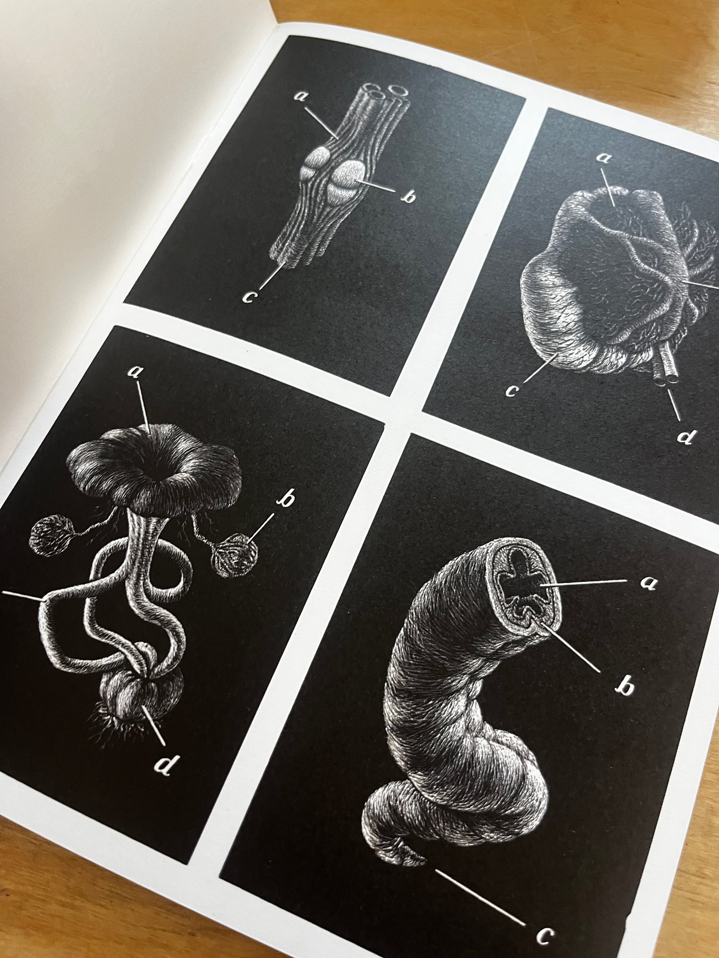 The Art of Thomas Ott