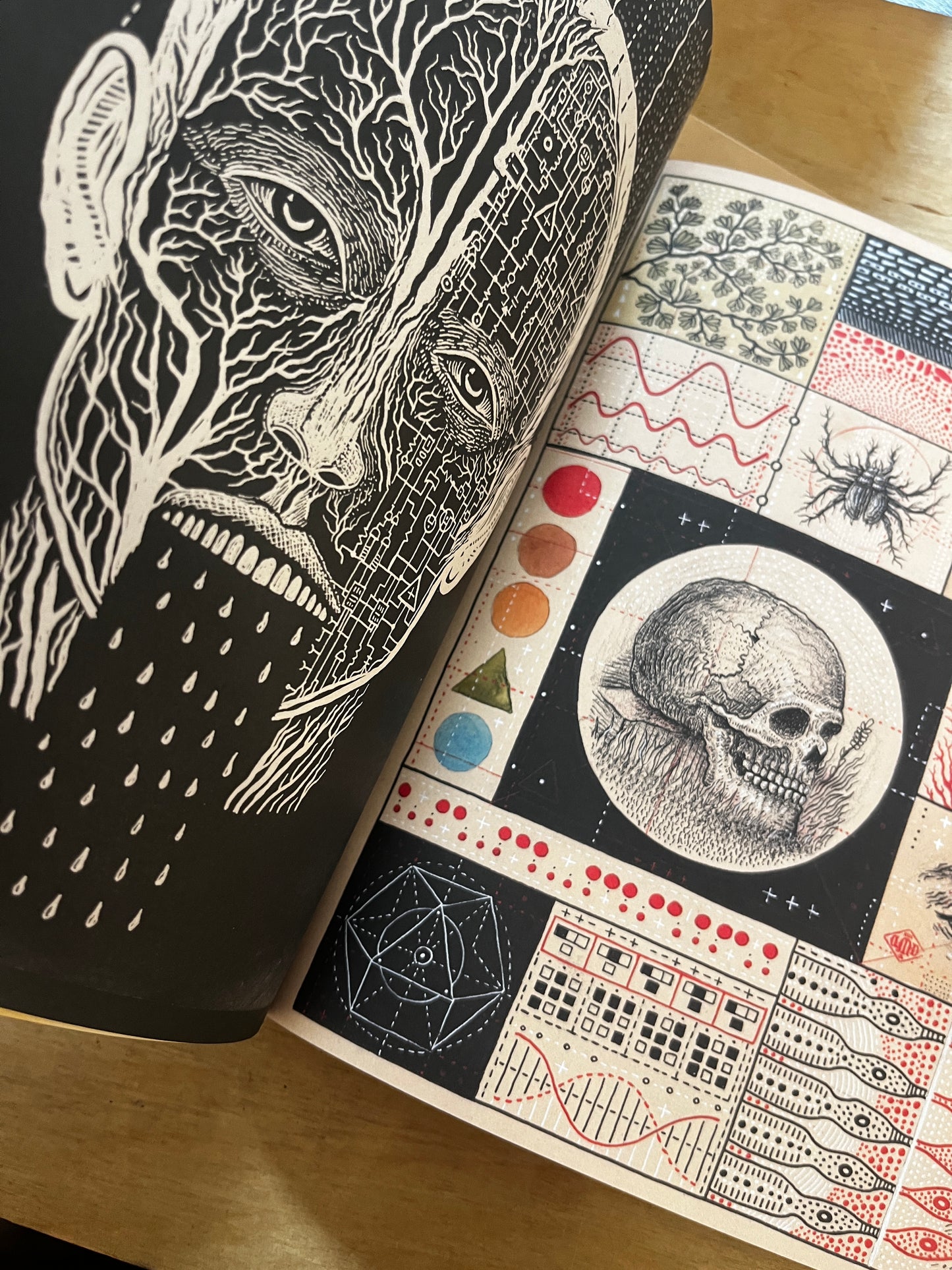 The Art of Daniel Martin Diaz