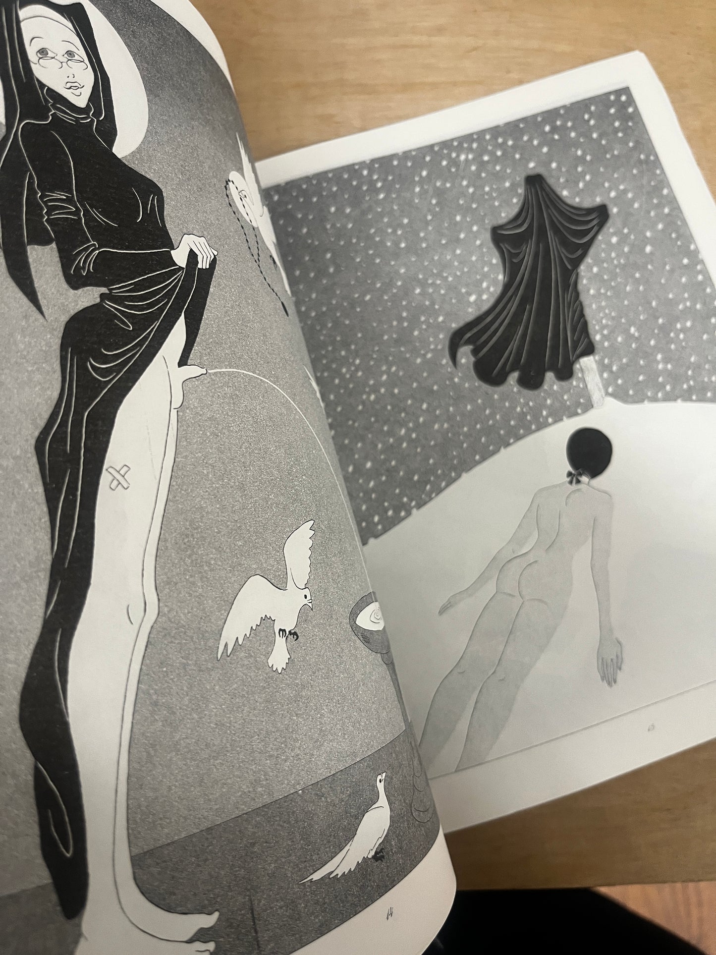 Misery Triptych - Coco Paluck