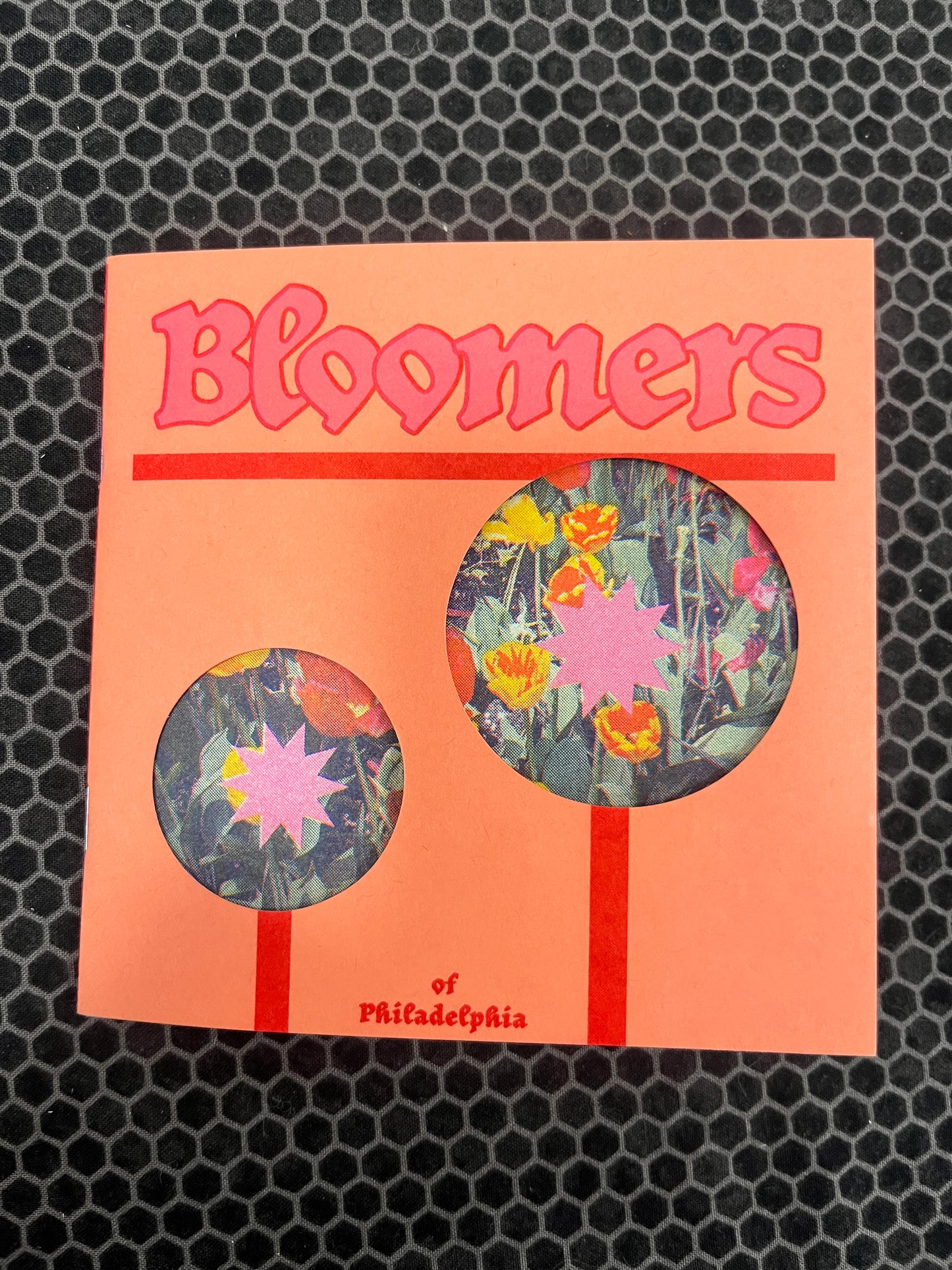 bloomers (the zine!)