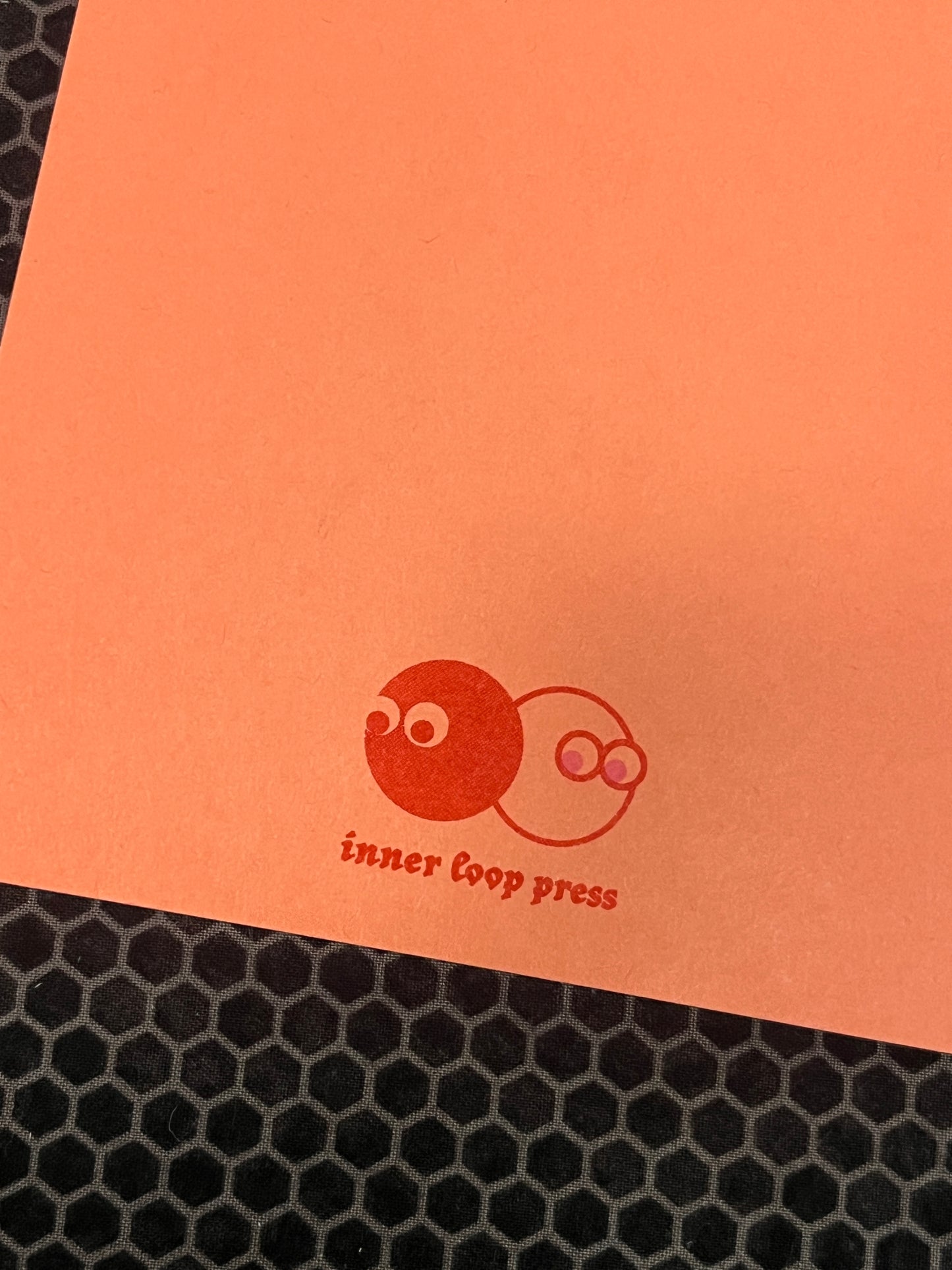 bloomers (the zine!)