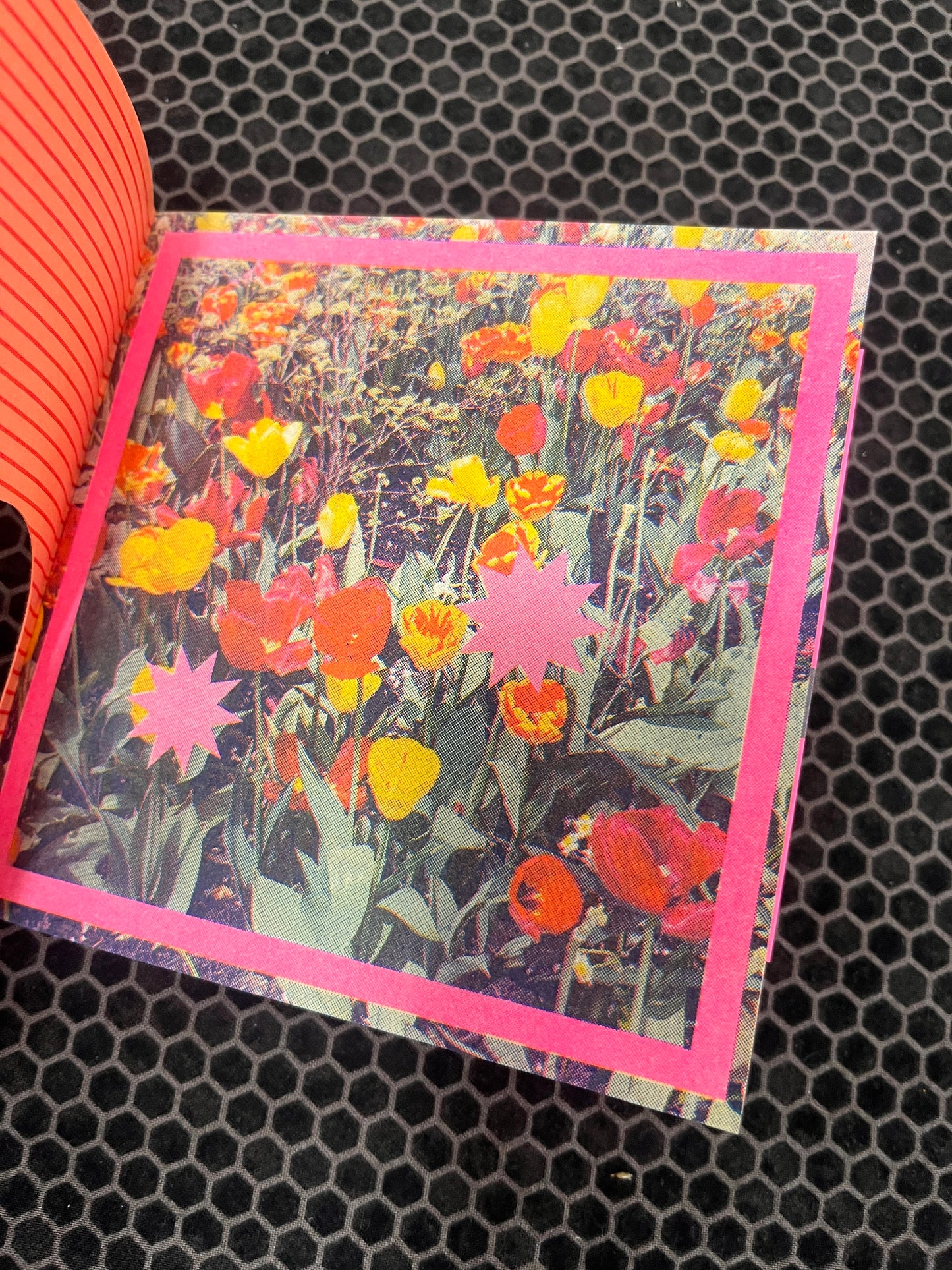 bloomers (the zine!)