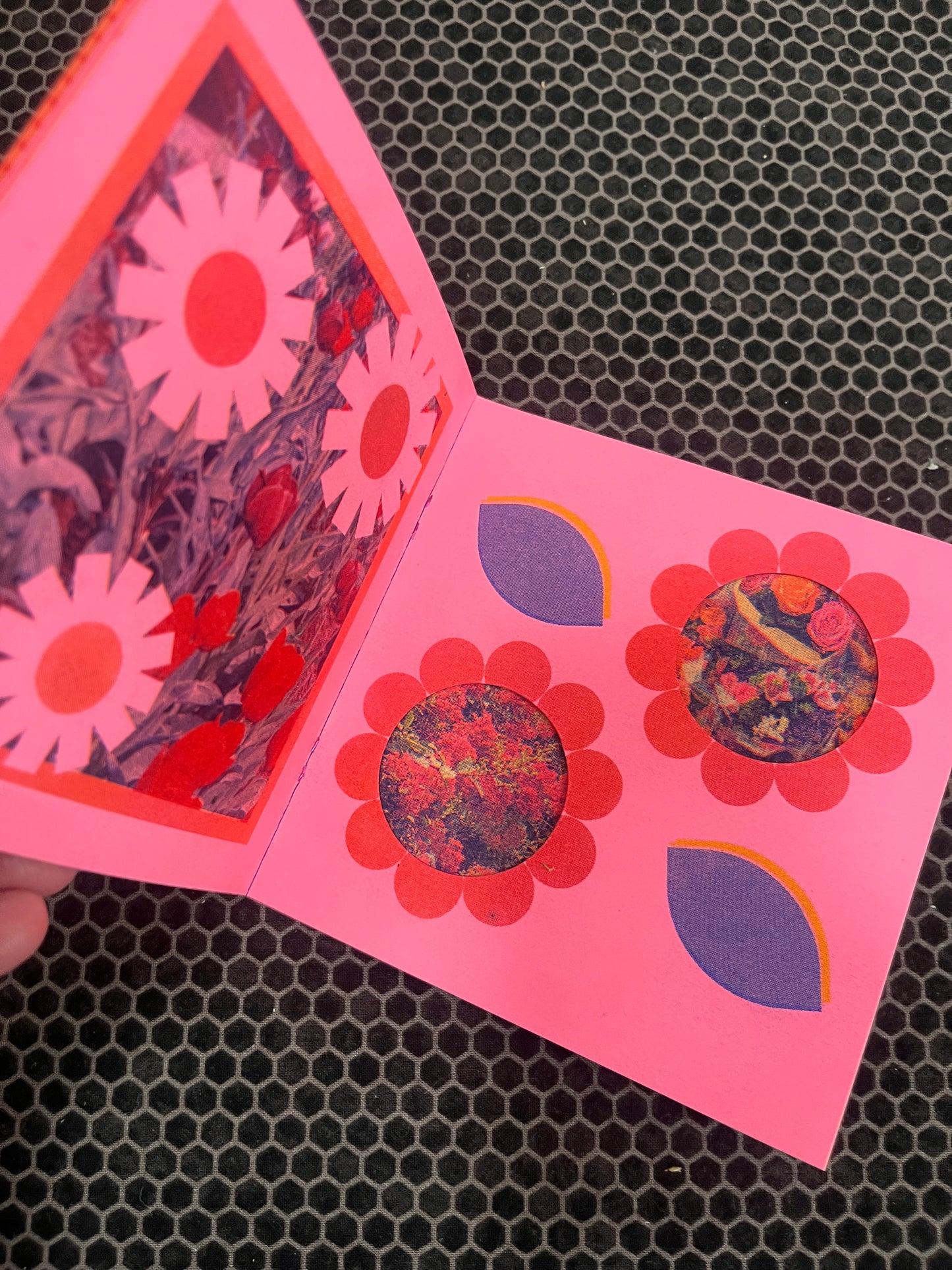 bloomers (the zine!)