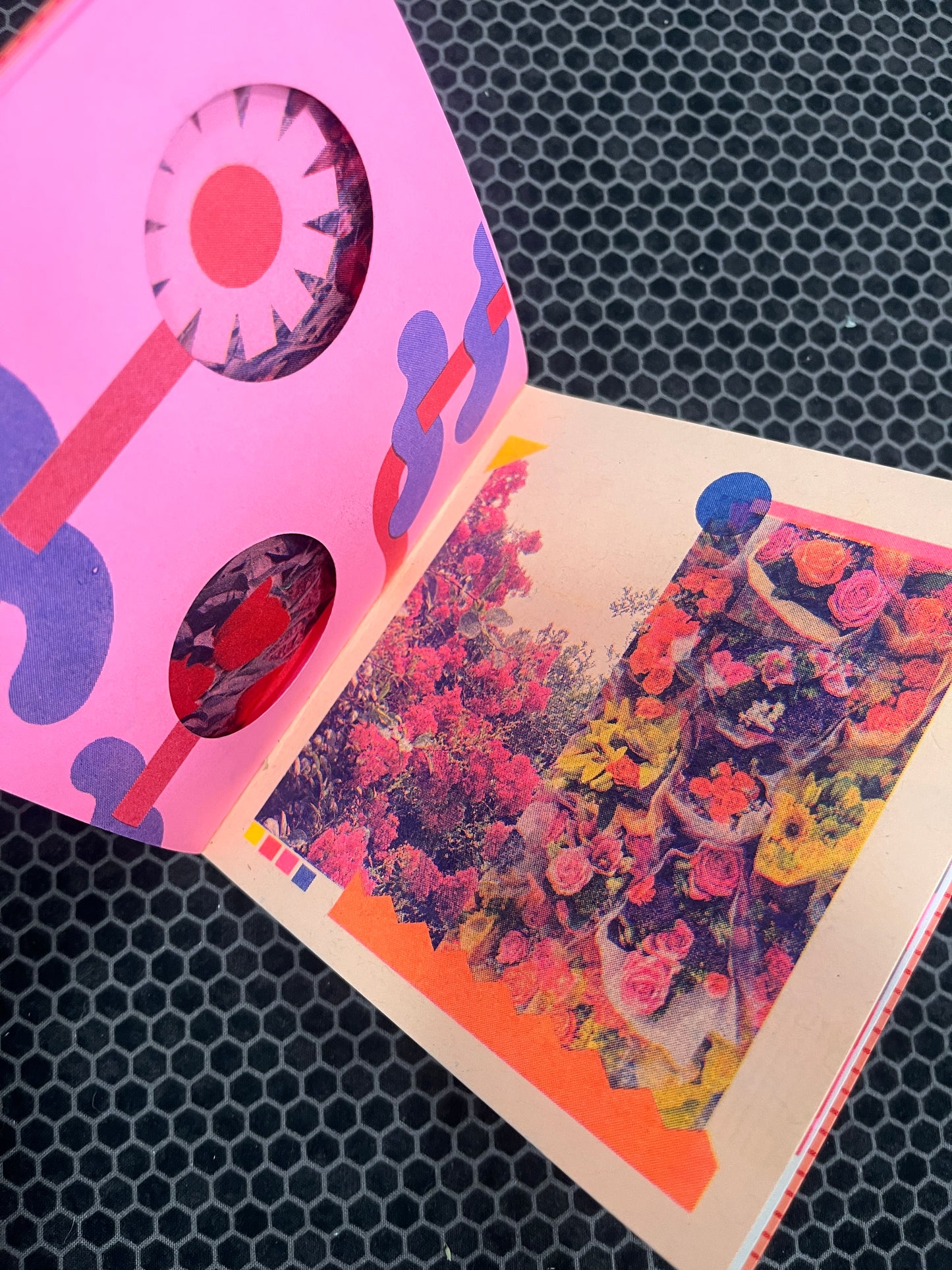 bloomers (the zine!)