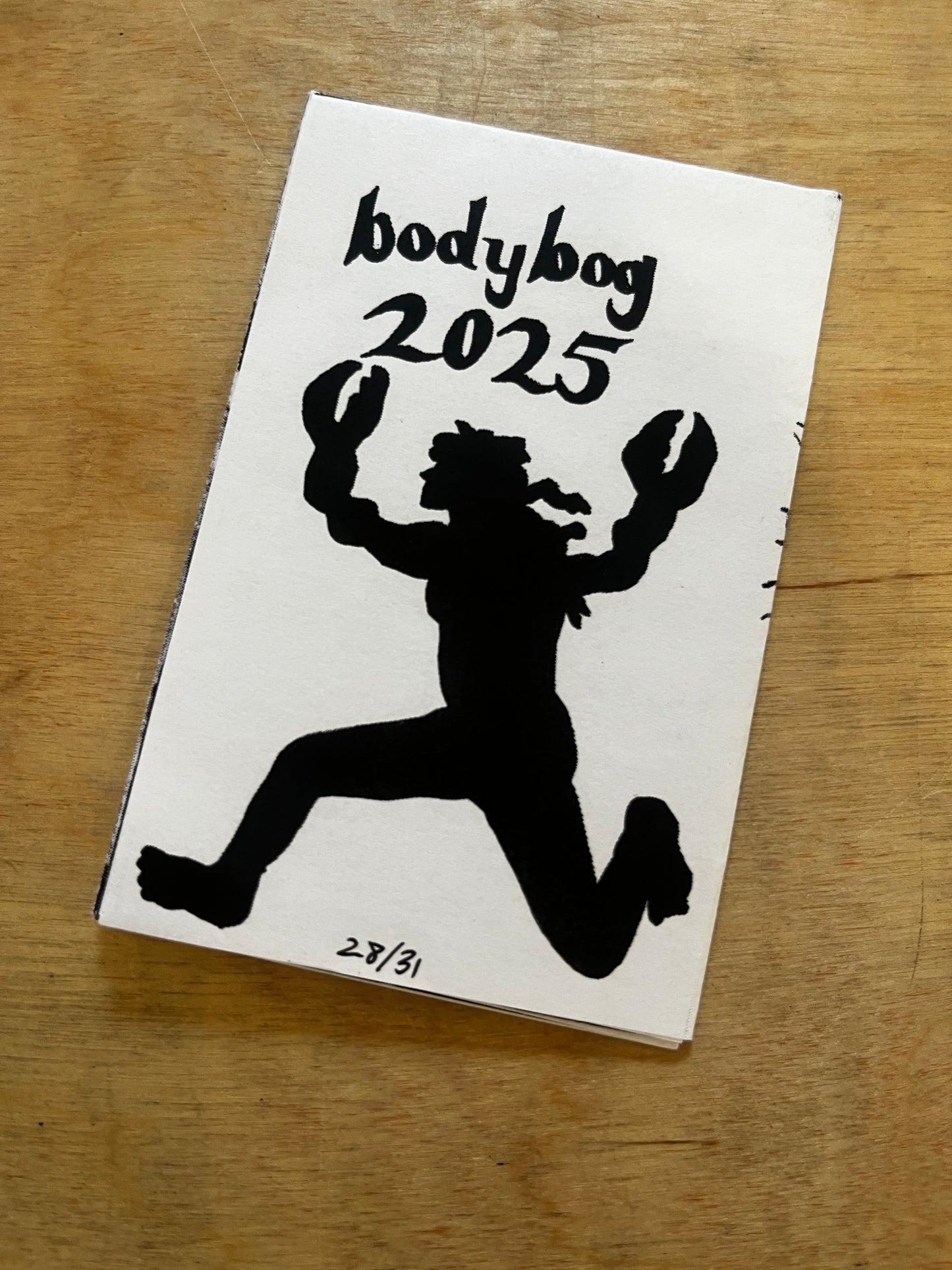Rowan Dewitt Zines
