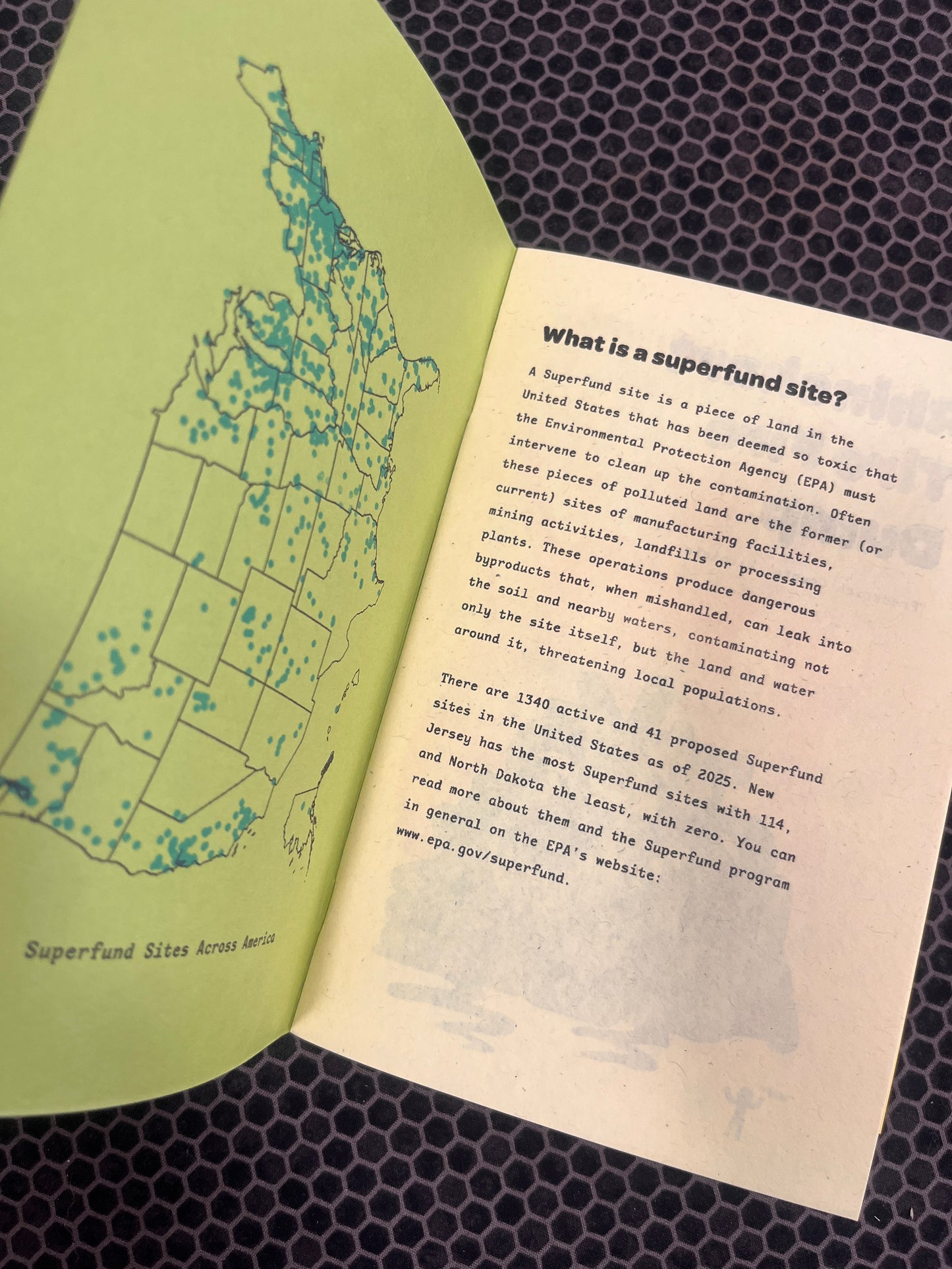 Toxic Lagoons: southern edition zine