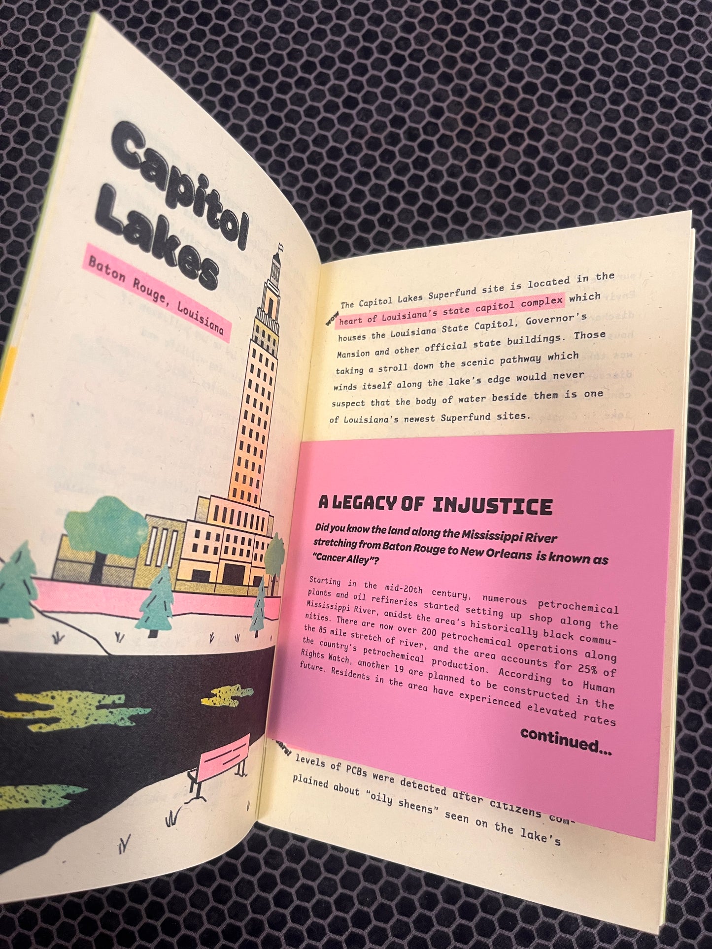 Toxic Lagoons: southern edition zine