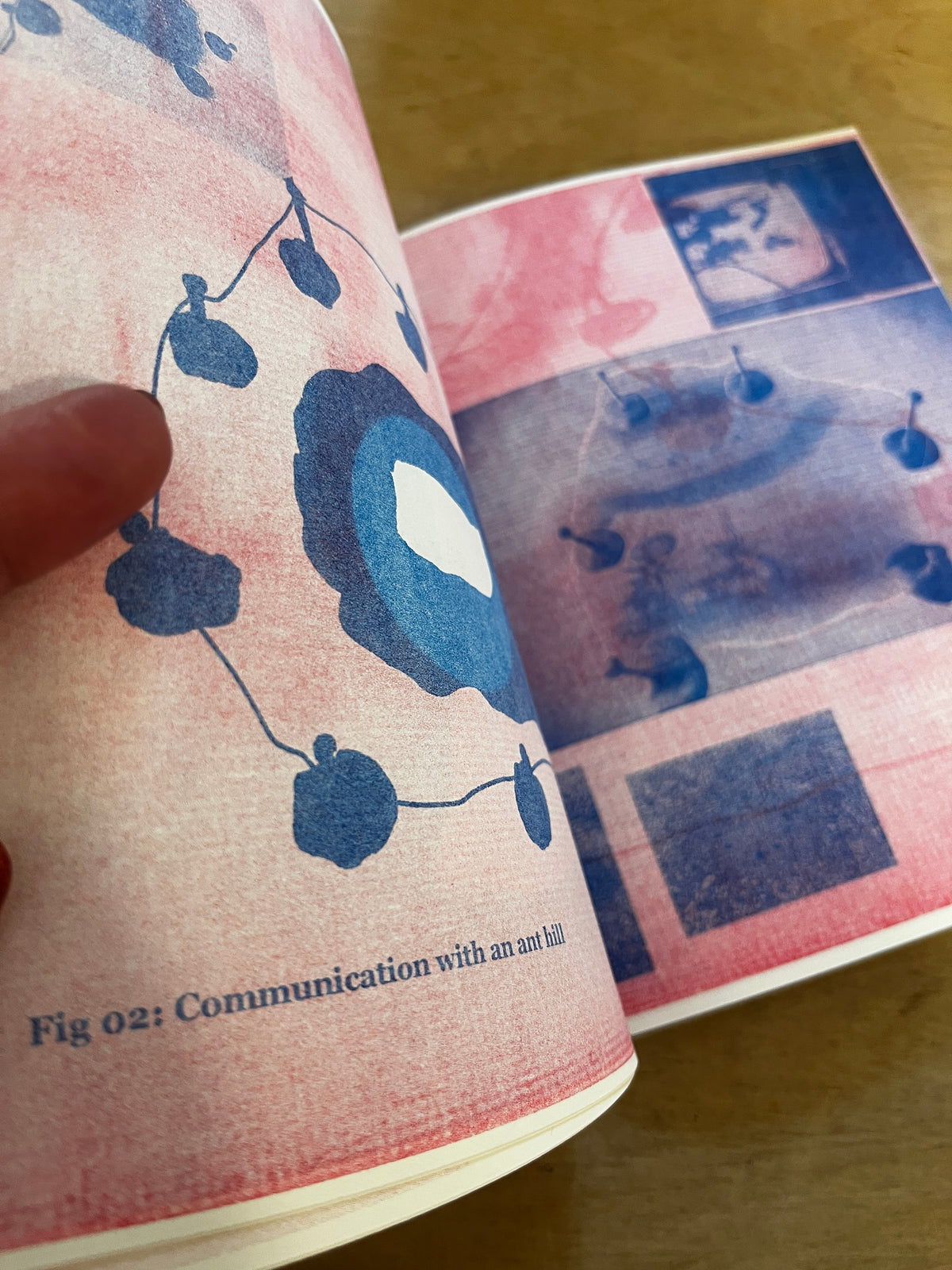 Other Networks: Interspecies Communications Operations Manual