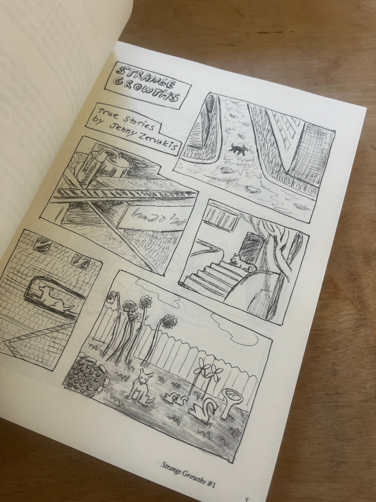 THE COMPLETE STRANGE GROWTHS, 1991-1997 by Jenny Zervakis