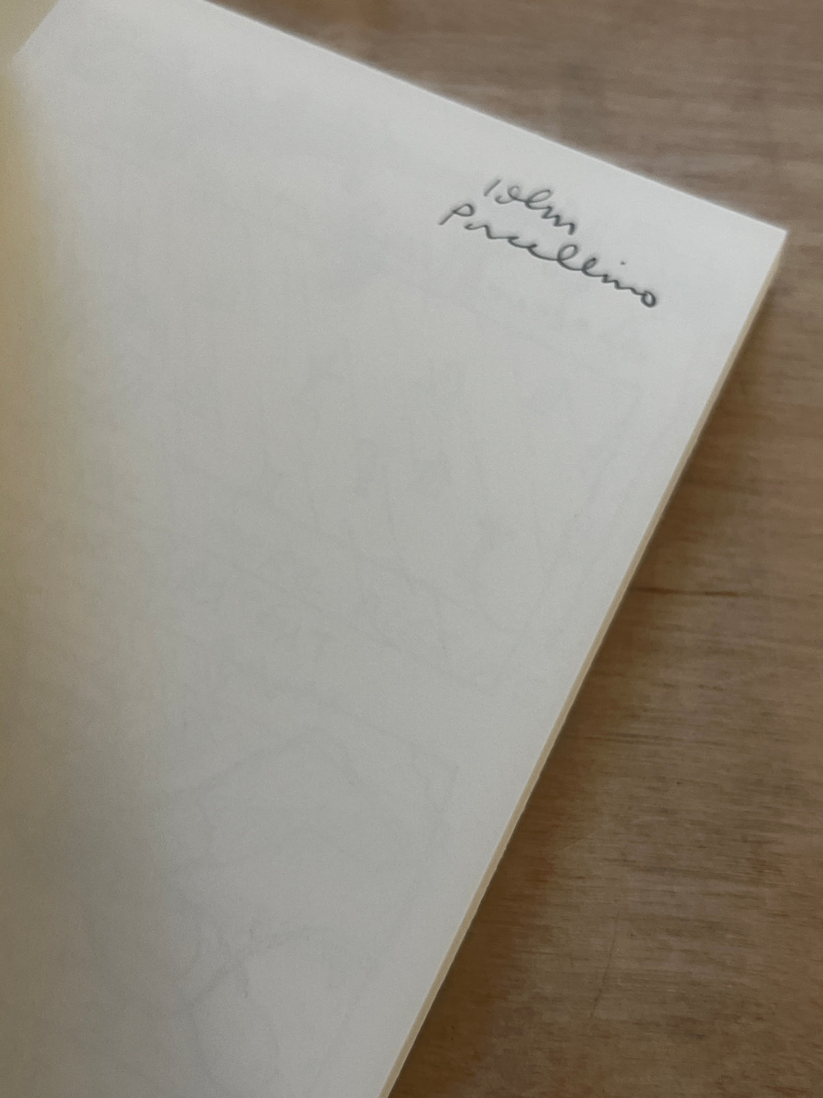 DIARY OF A MOSQUITO ABATEMENT MAN by John Porcellino