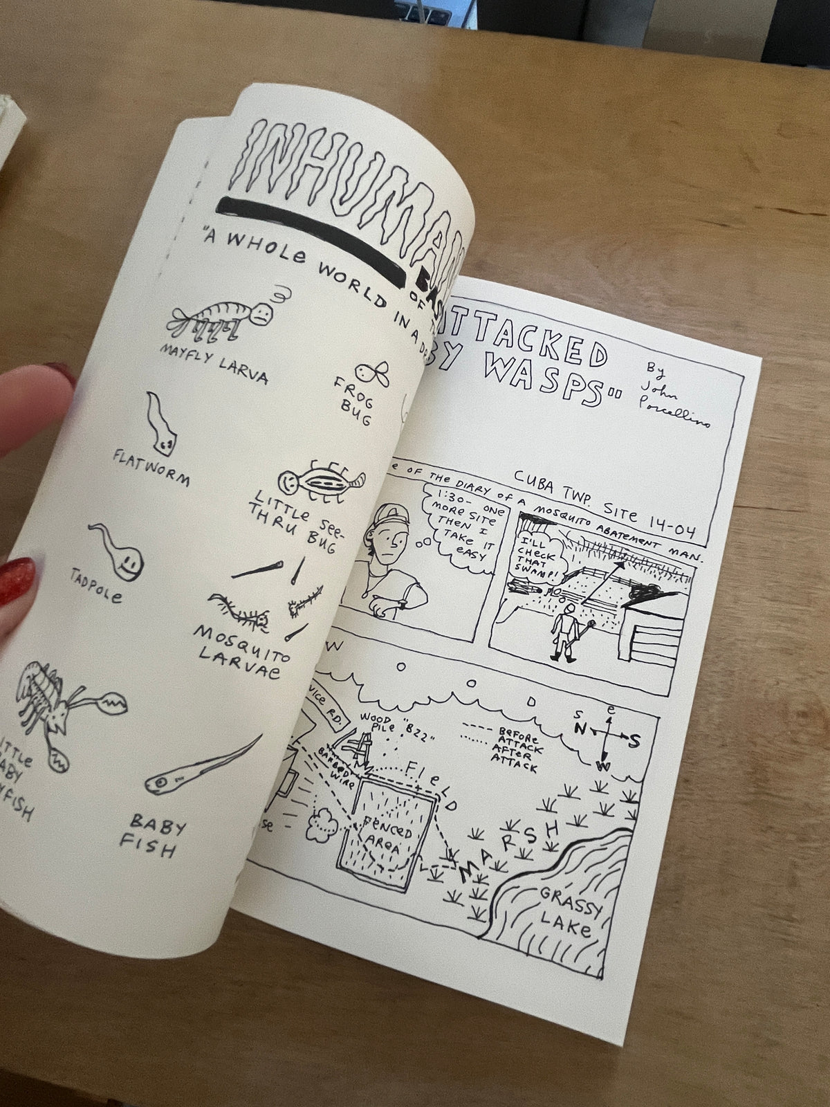 DIARY OF A MOSQUITO ABATEMENT MAN by John Porcellino