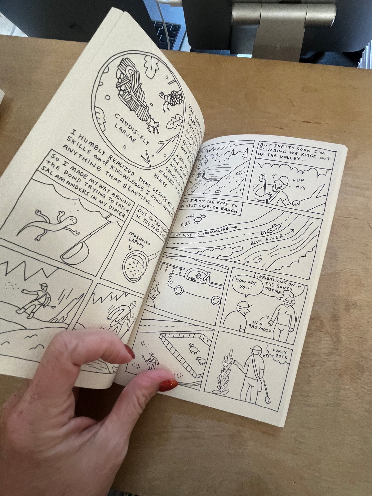 DIARY OF A MOSQUITO ABATEMENT MAN by John Porcellino