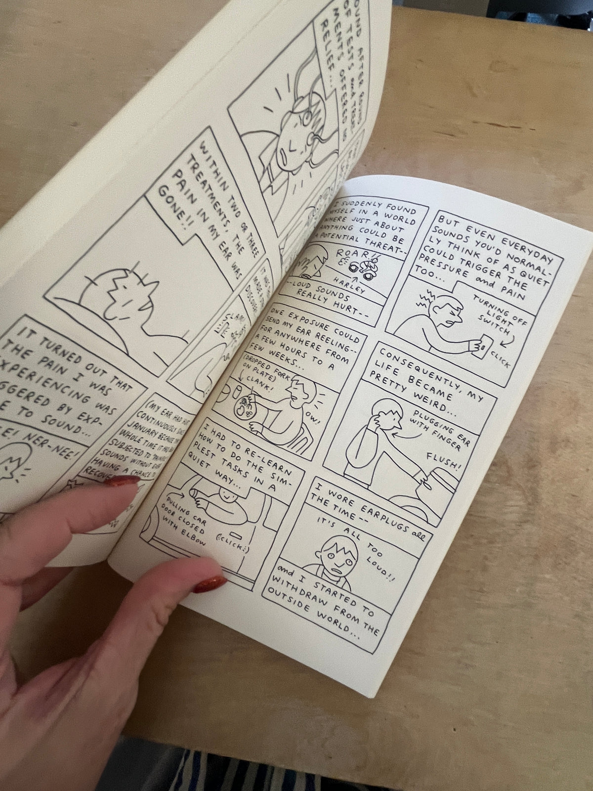 DIARY OF A MOSQUITO ABATEMENT MAN by John Porcellino