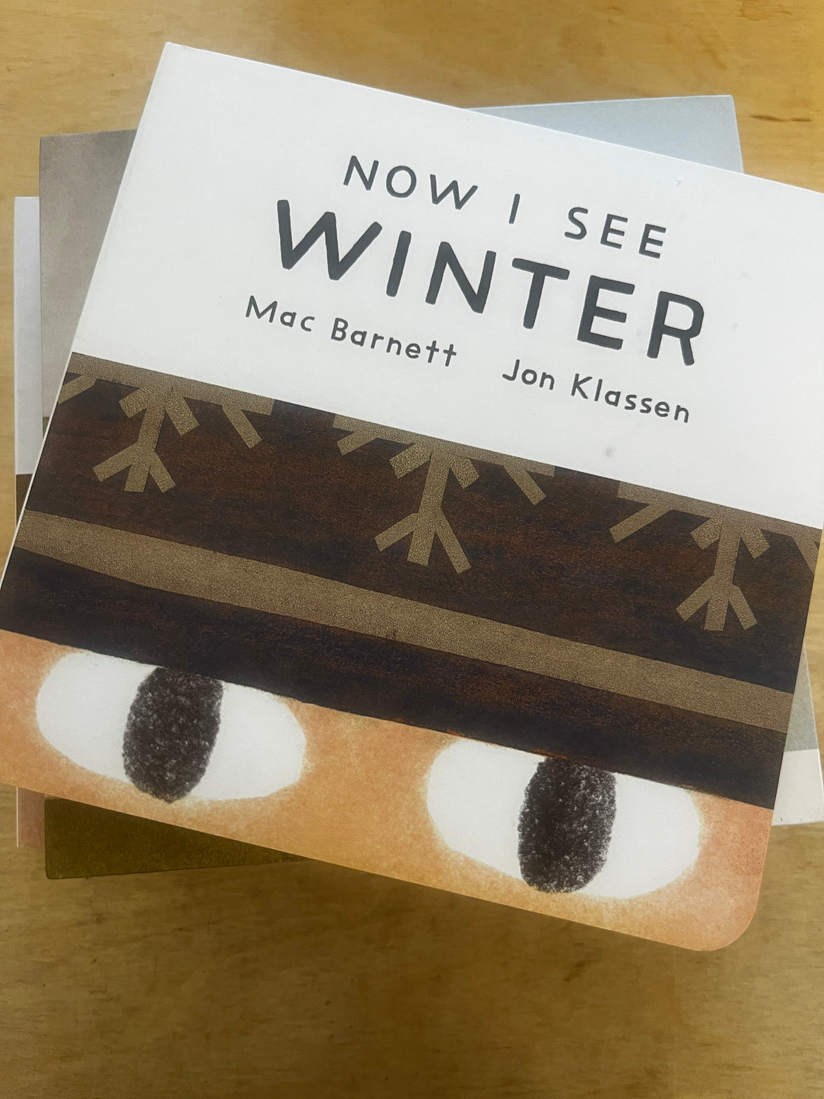 Now I See Board Book Box Set