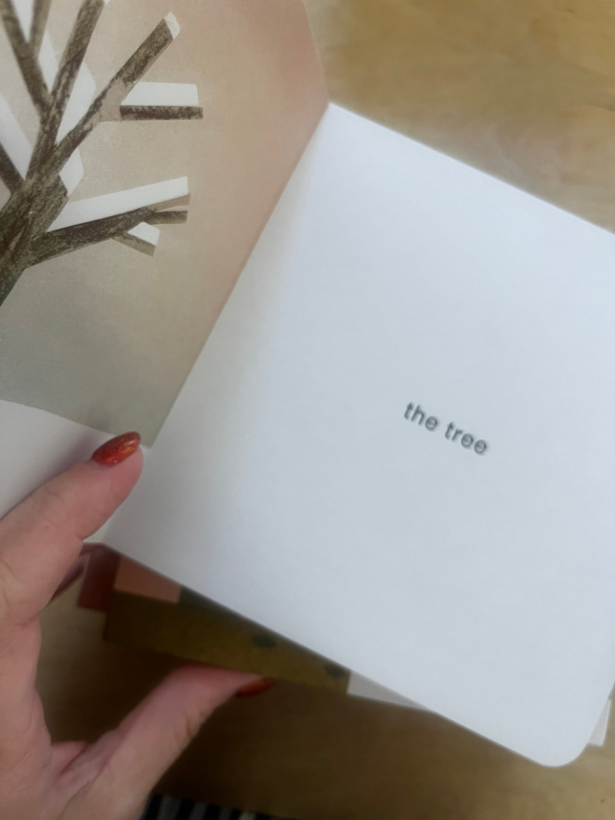 Now I See Board Book Box Set