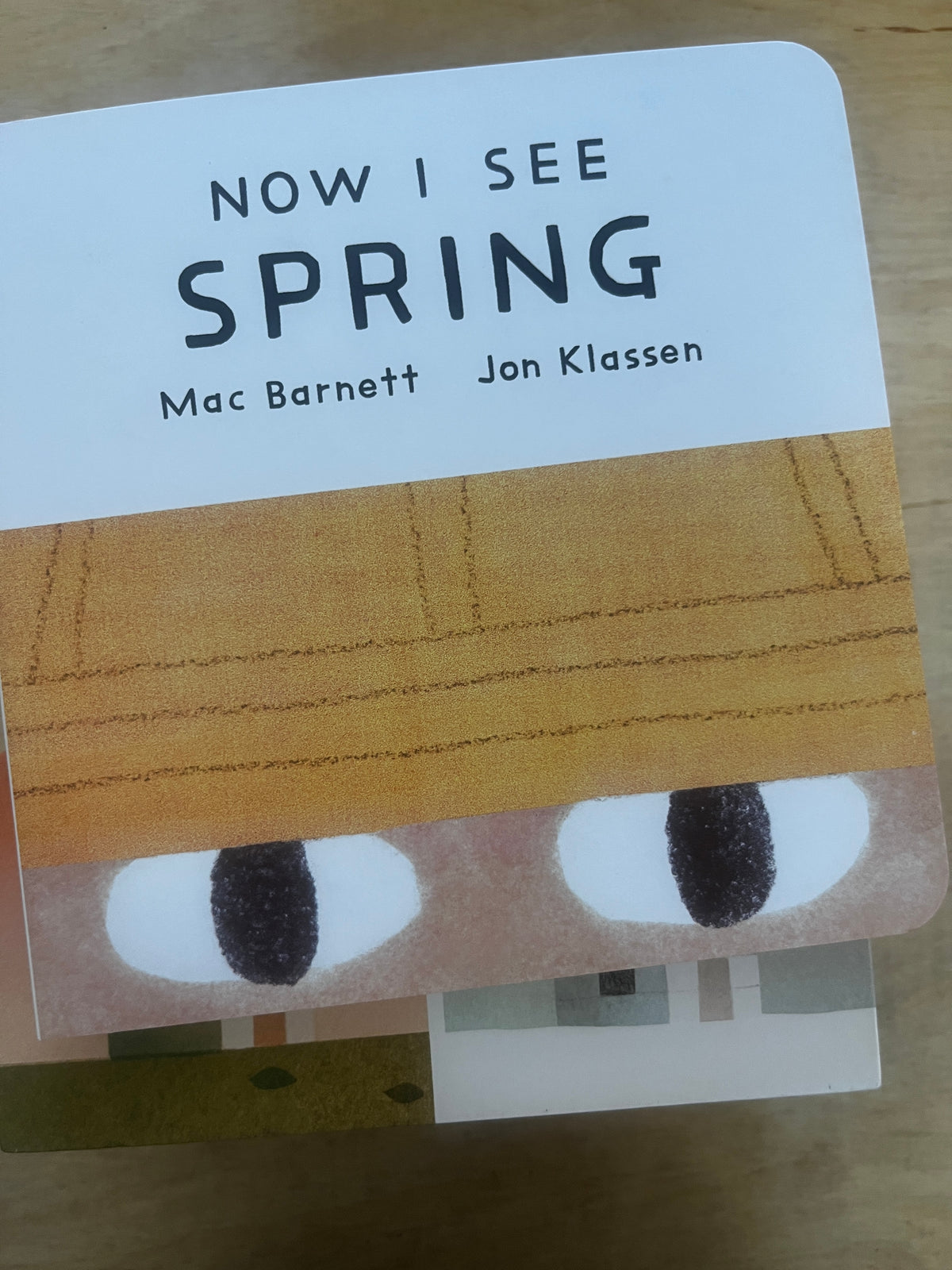 Now I See Board Book Box Set