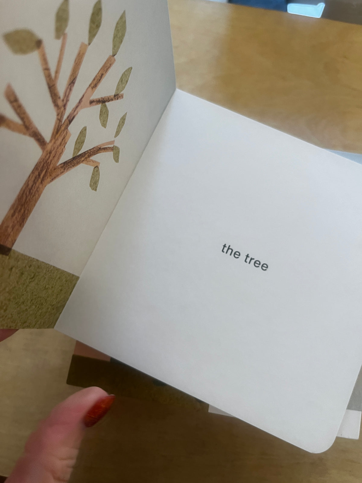 Now I See Board Book Box Set