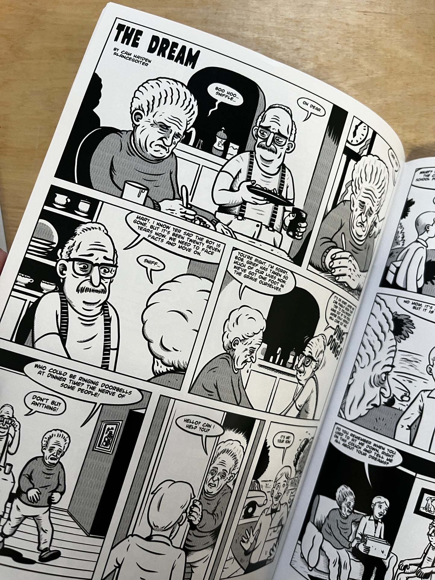 Cam Hayden Comics!