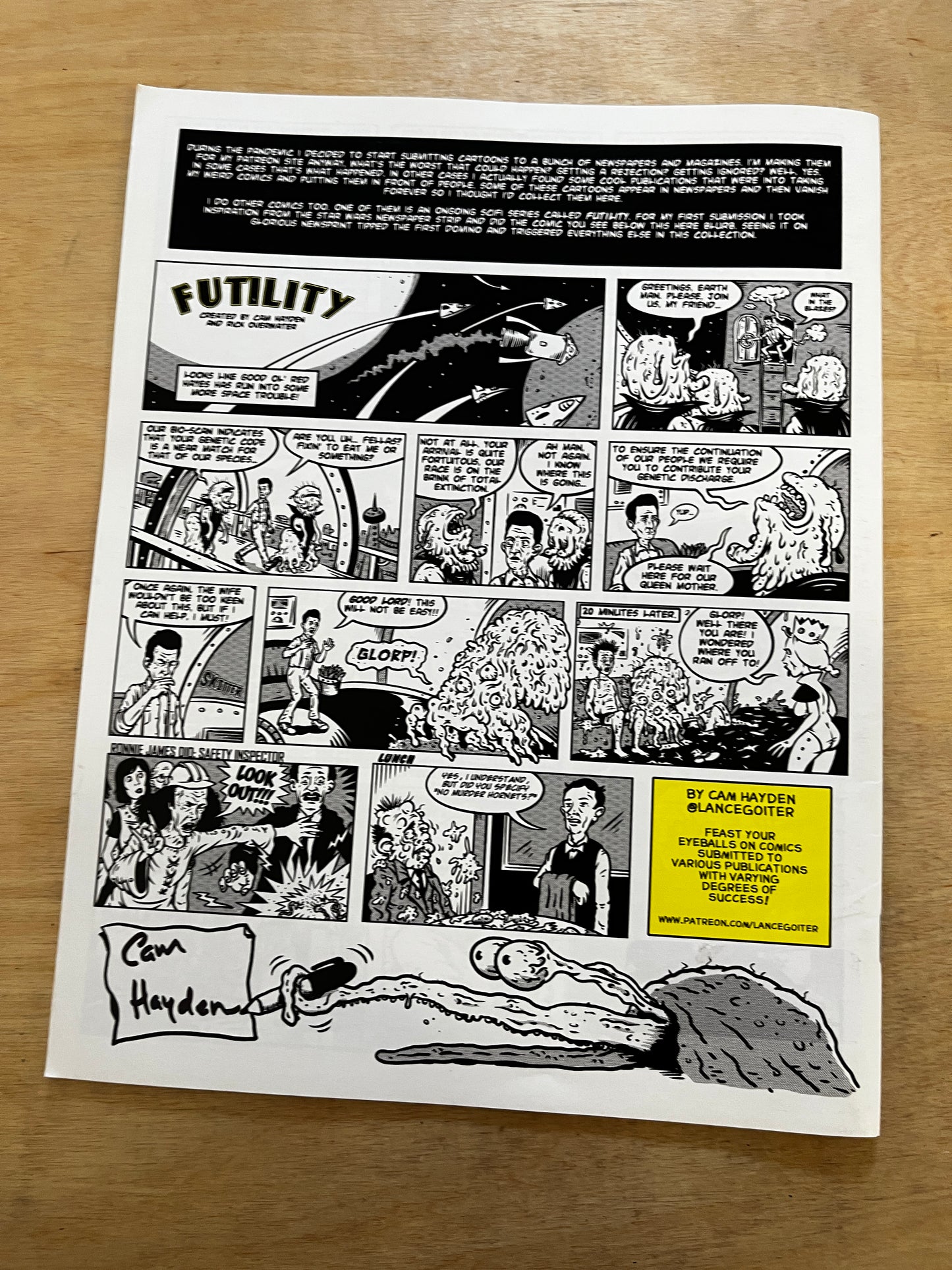 Cam Hayden Comics!