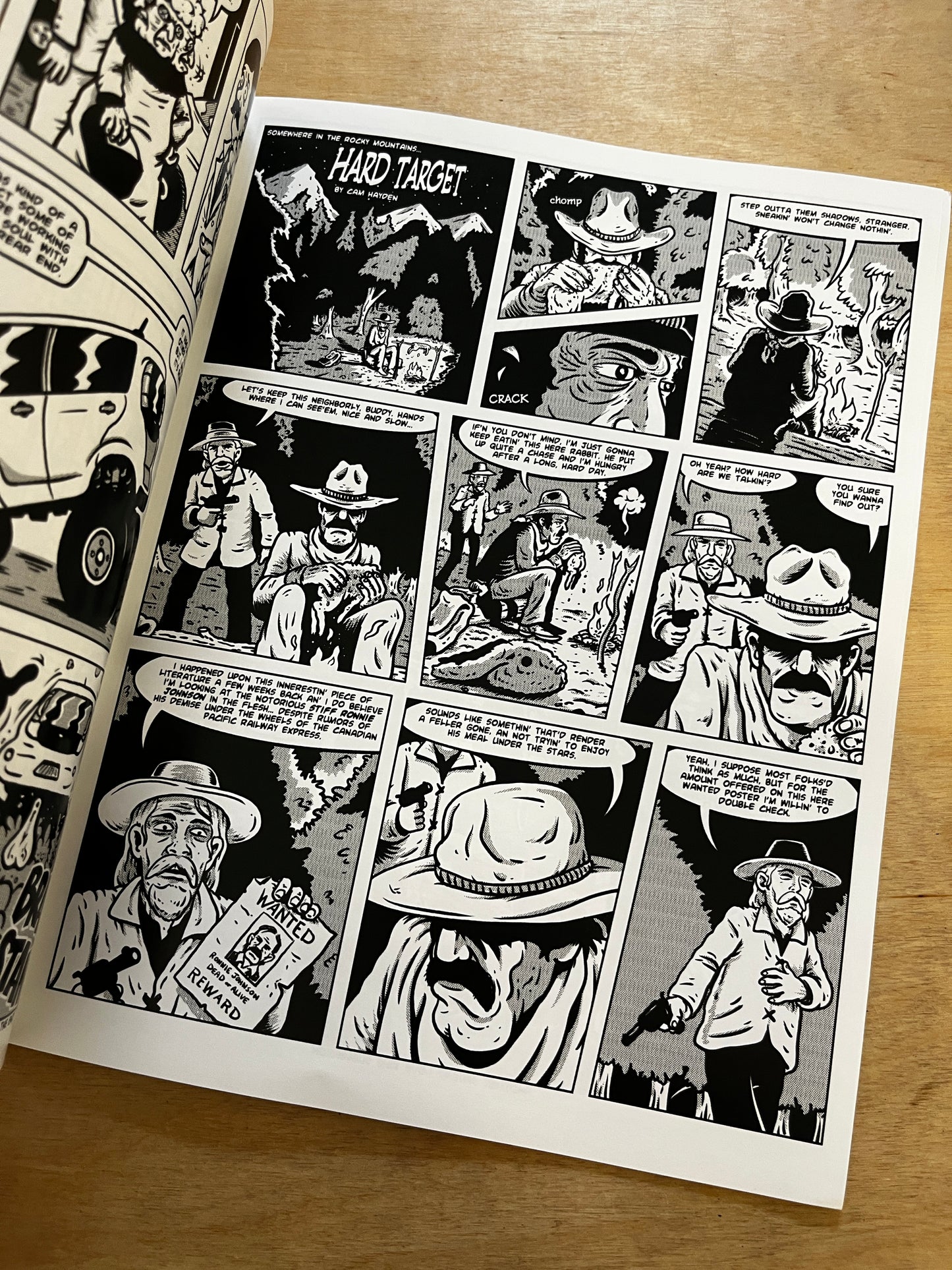 Cam Hayden Comics!