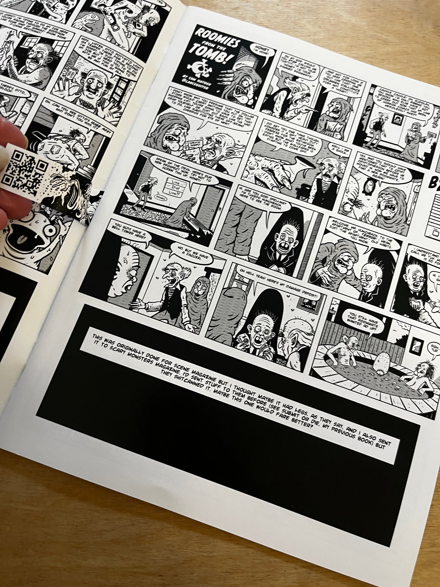 Cam Hayden Comics!