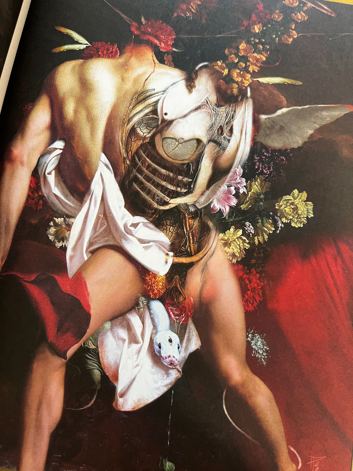 Corpus Chaoticum