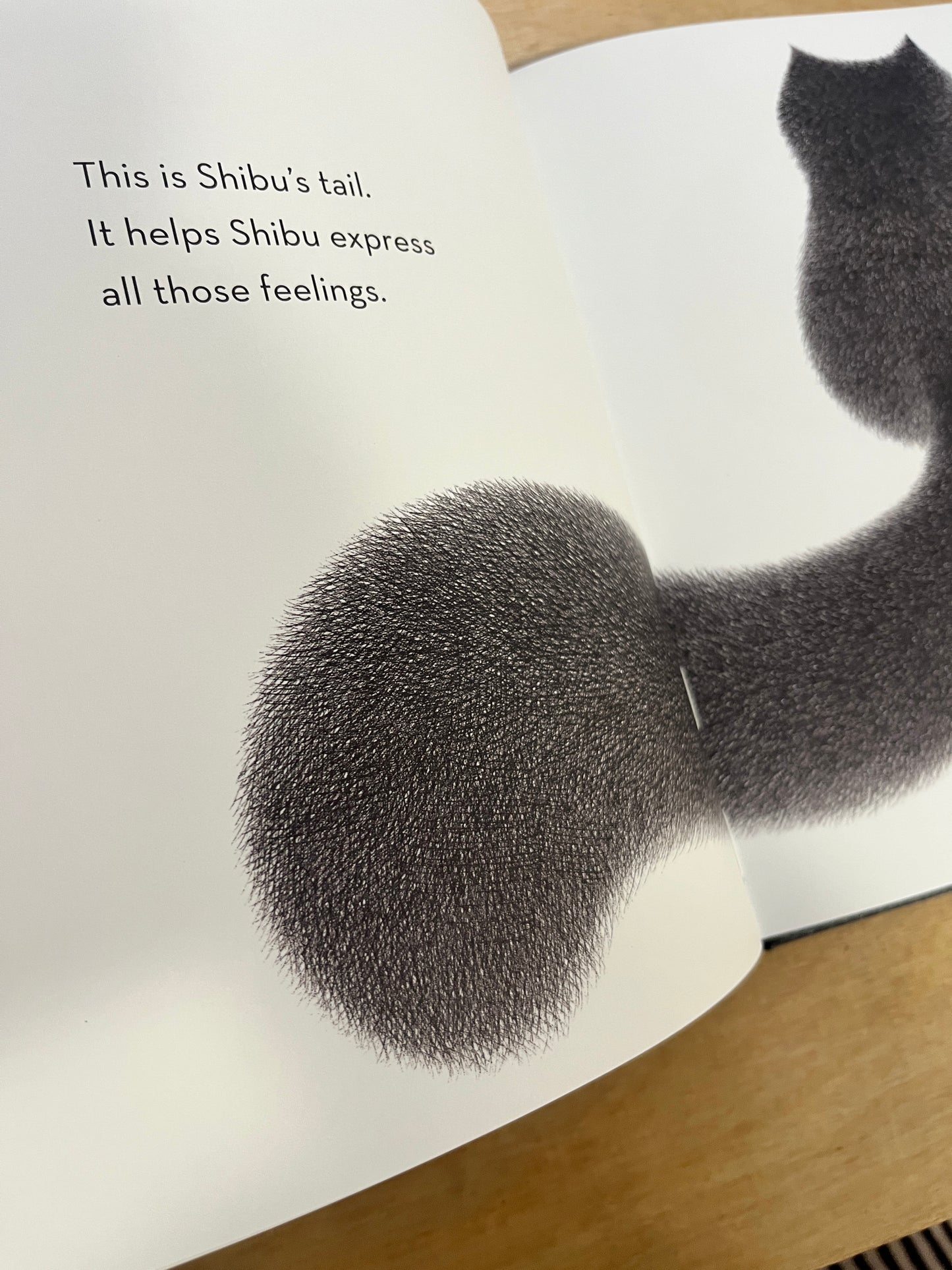 Shibu's Tail