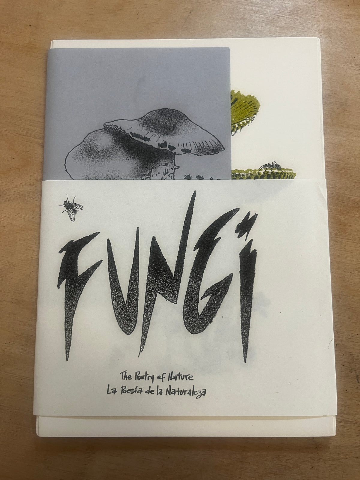 FUNGI