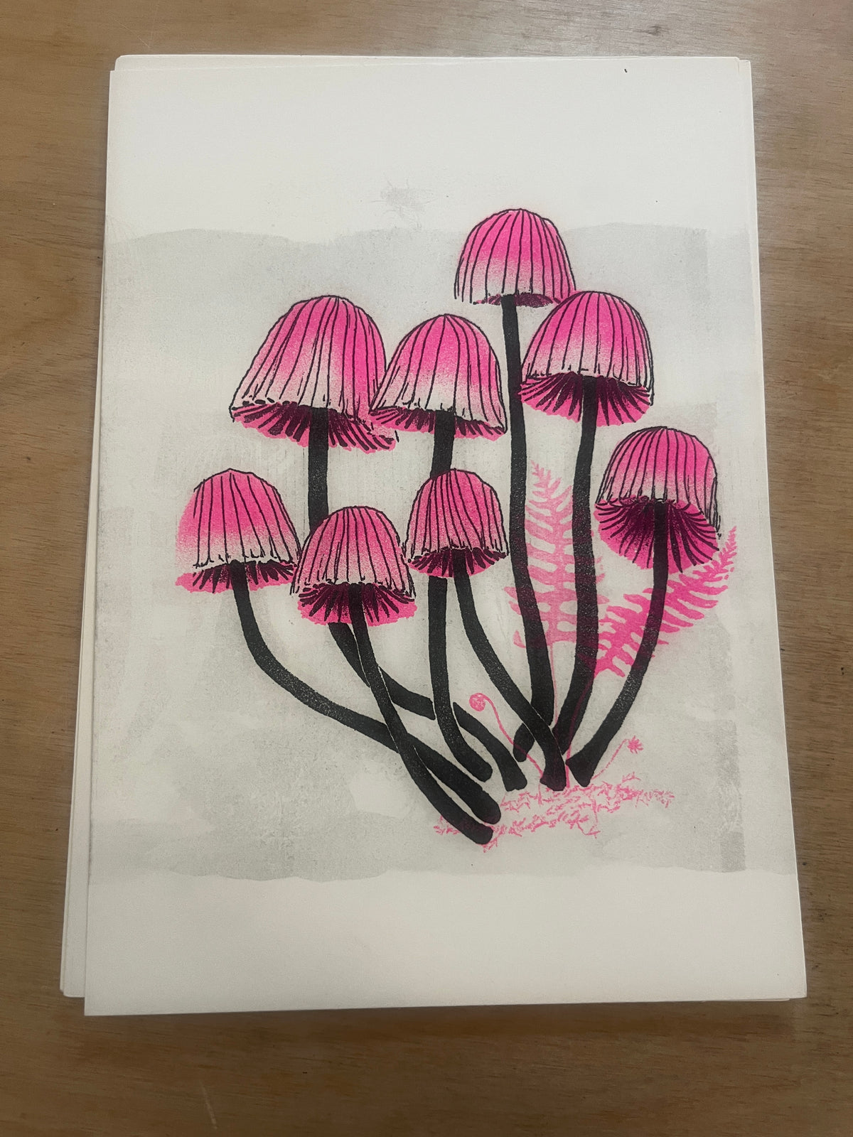 FUNGI