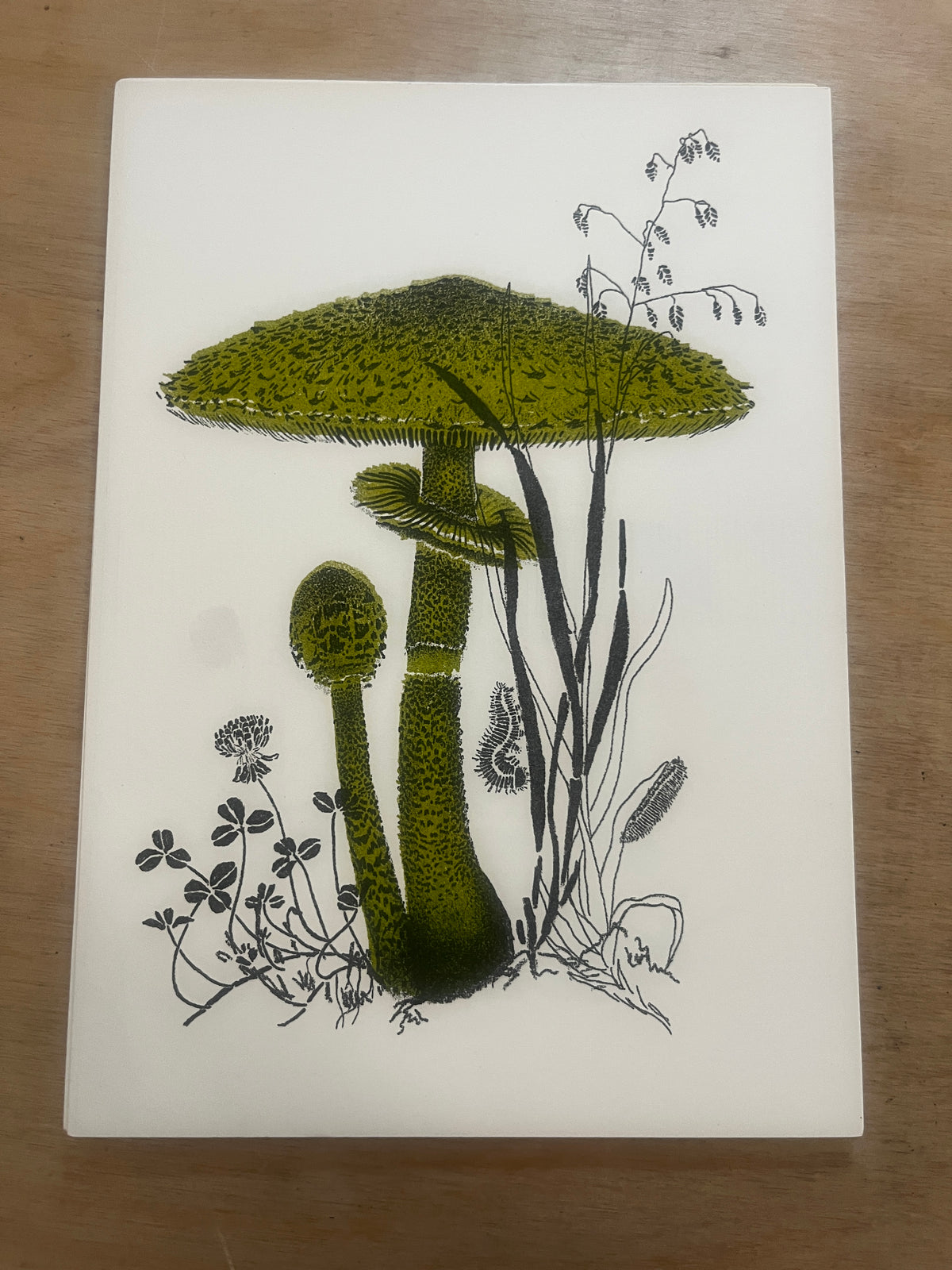 FUNGI