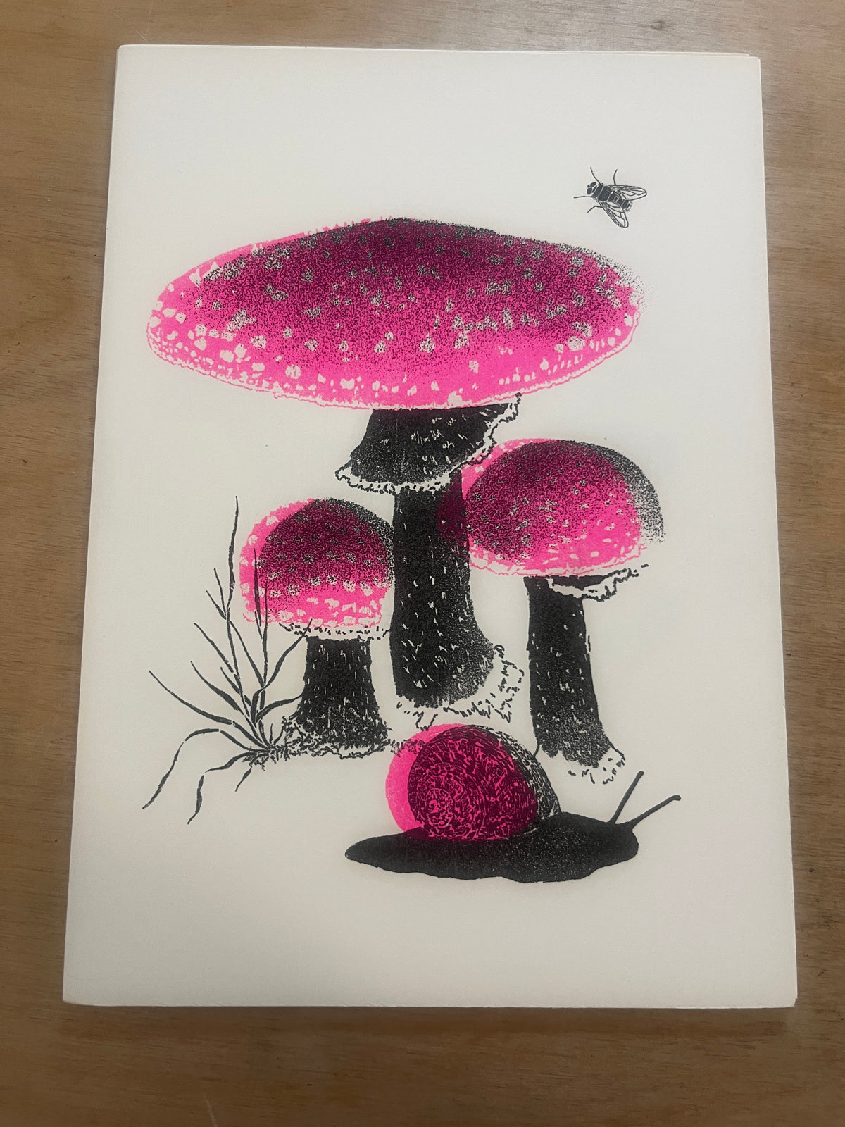 FUNGI