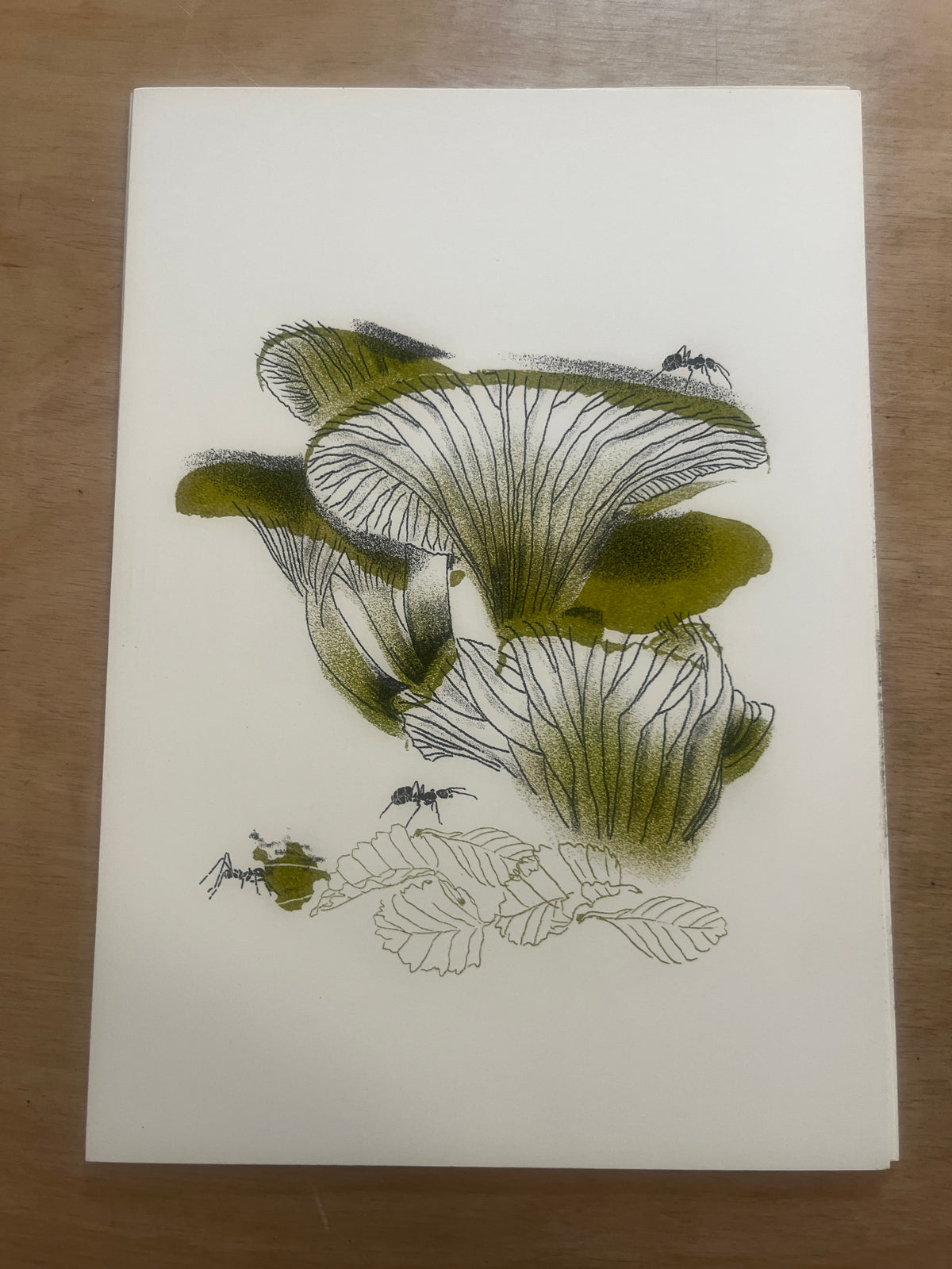 FUNGI