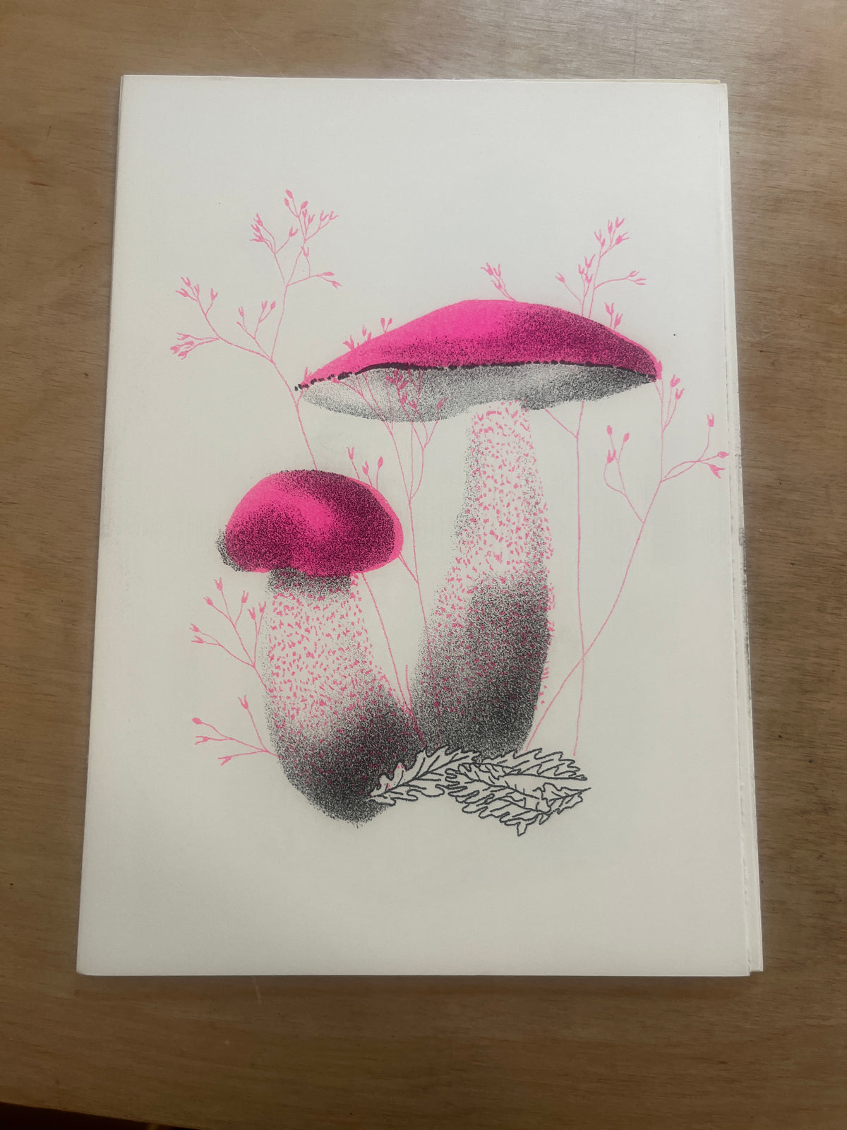 FUNGI