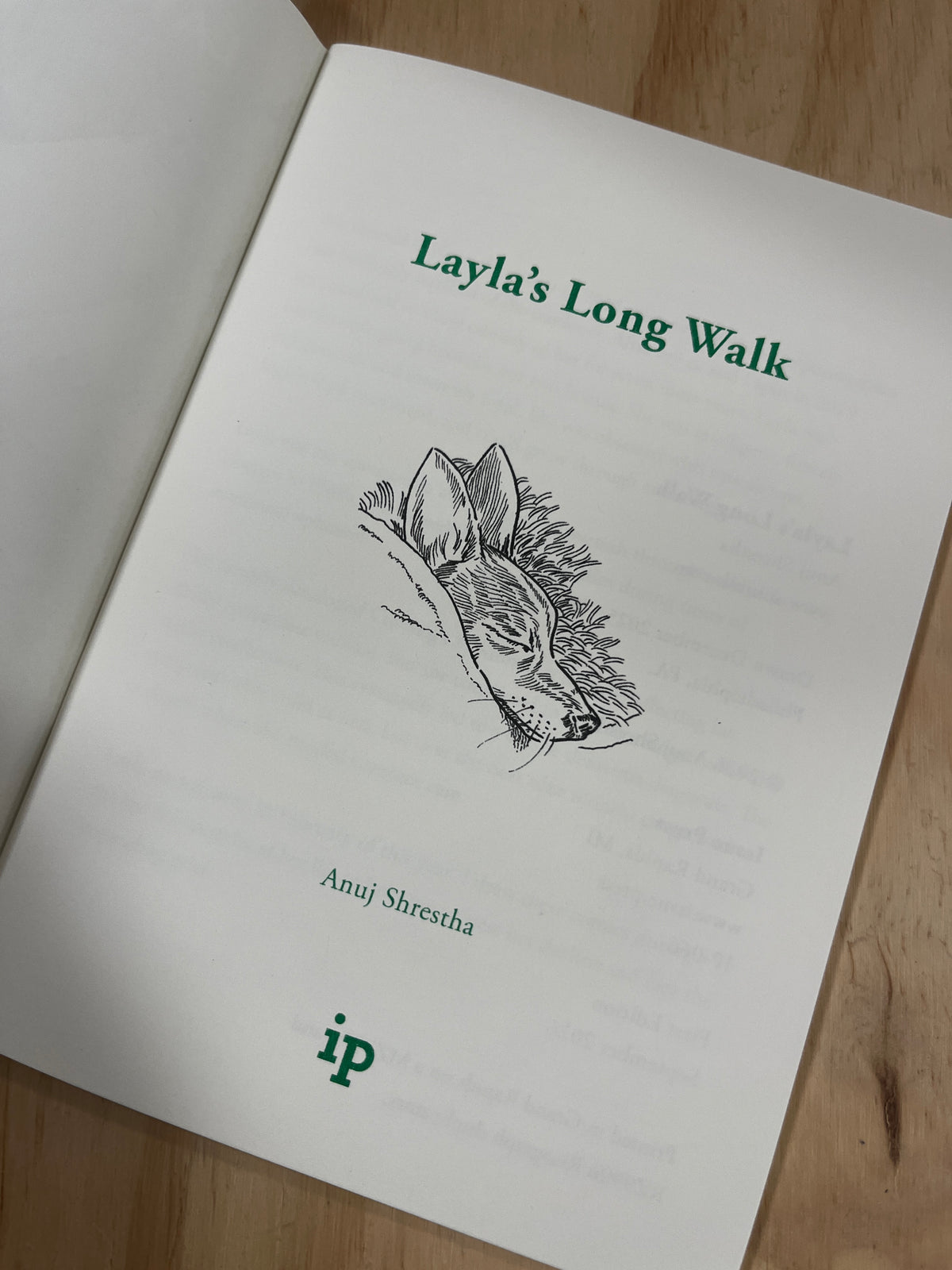Layla's Long Walk