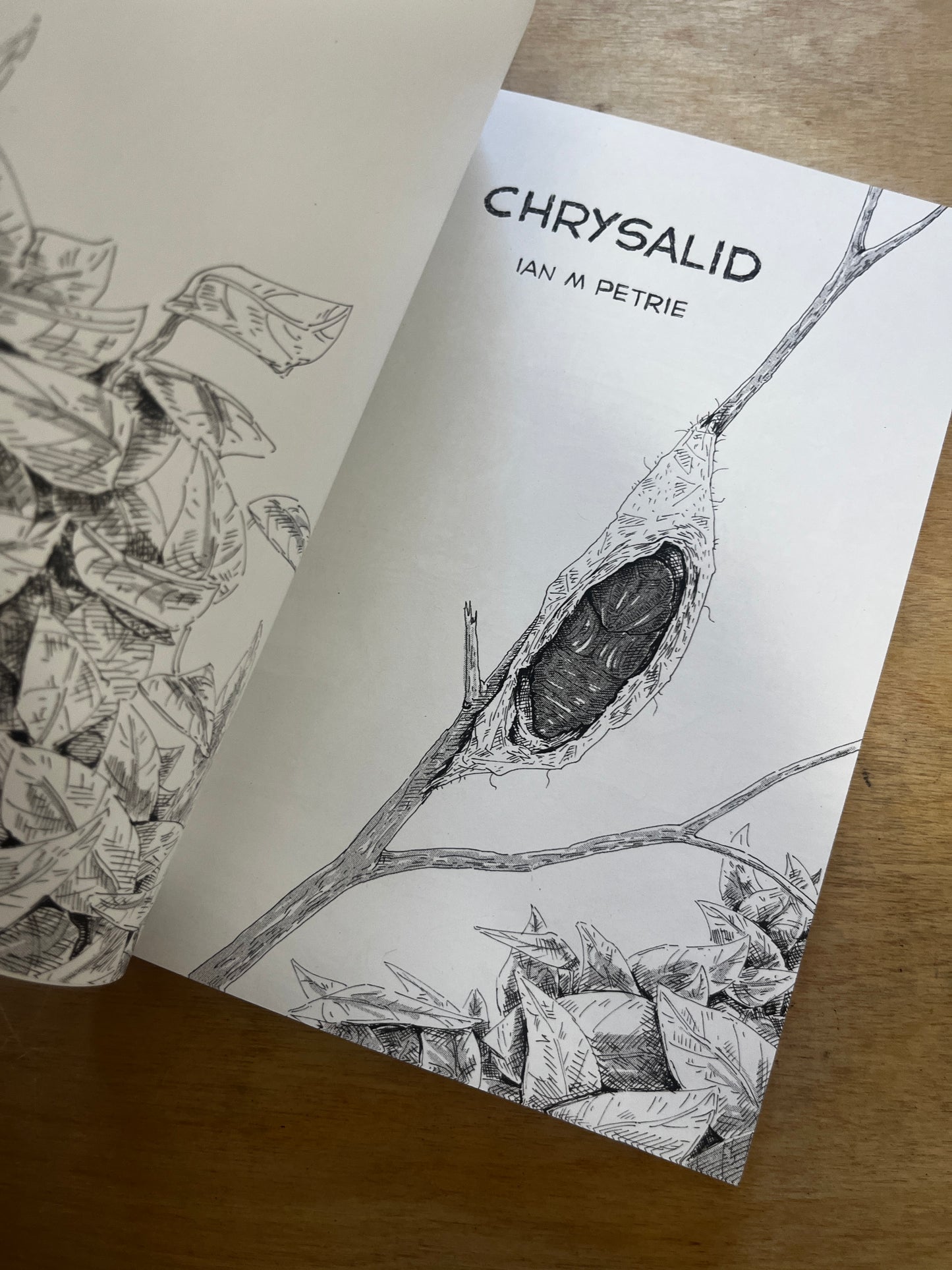 Chrysalid