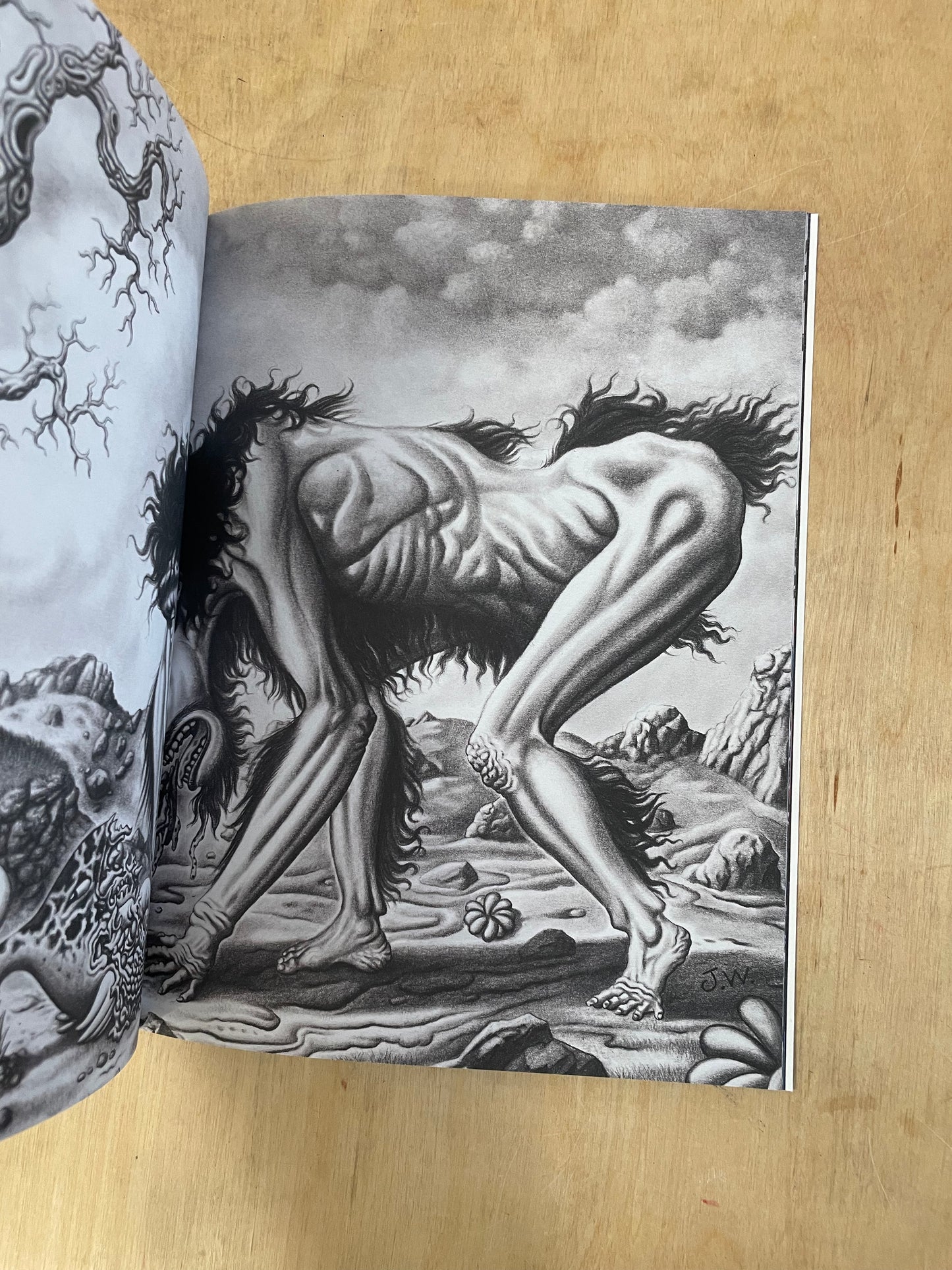 The Art of 13/ Jim Woodring