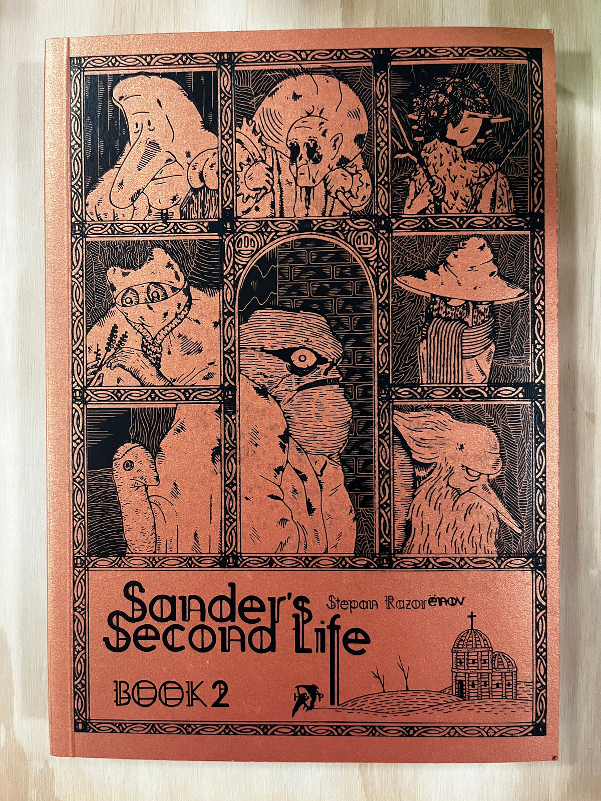 Sander's Second Life Book 2