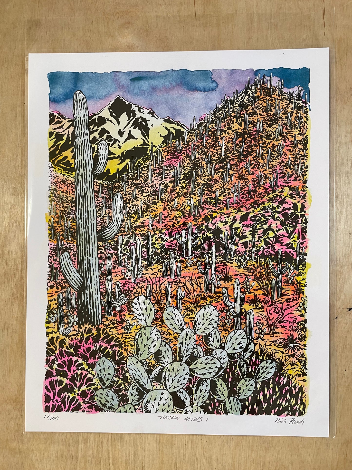 SONORAN DESERT RISOGRAPH PRINT - NICK BUNCH