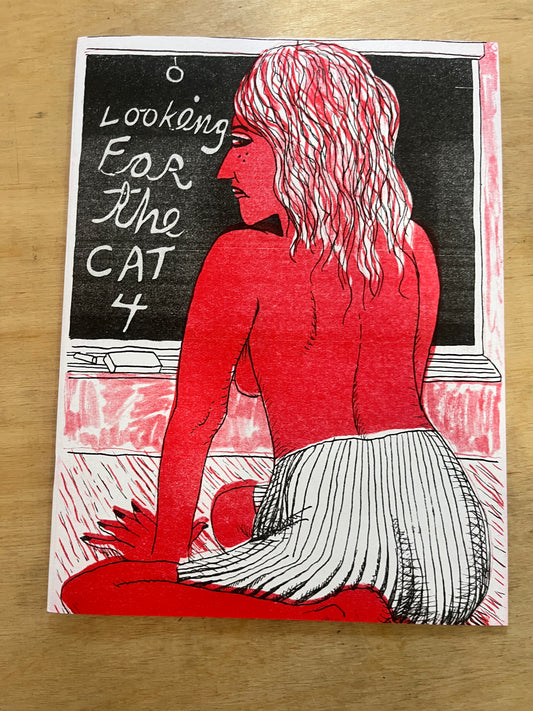 Looking for the Cat #4