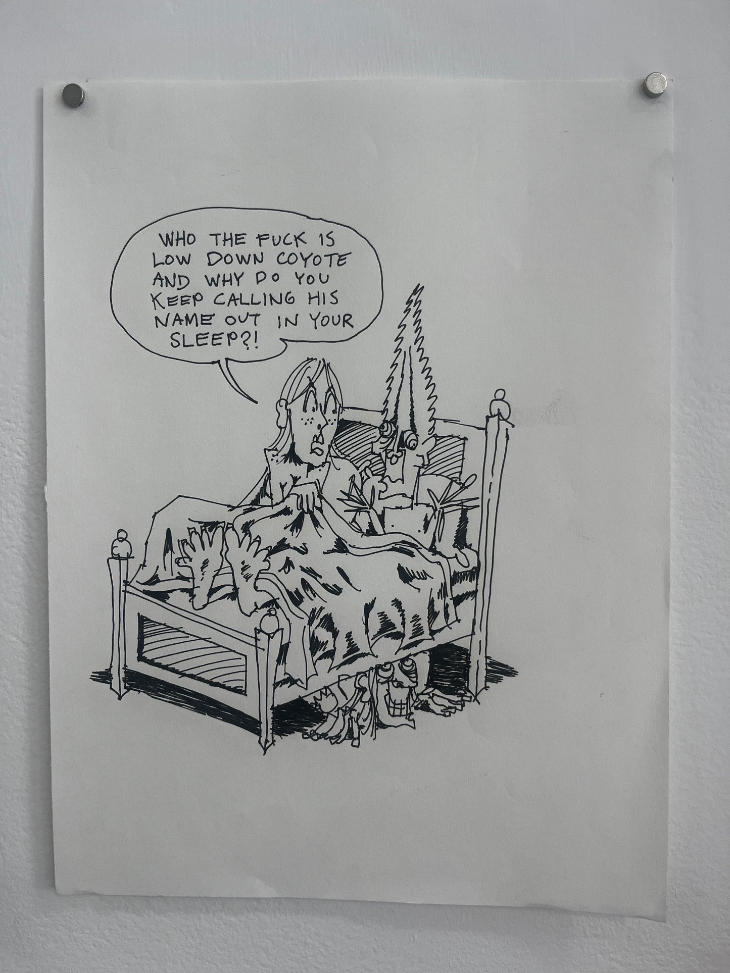 Nick Bunch Original Pages from "The Resurrection of Low Down Coyote"