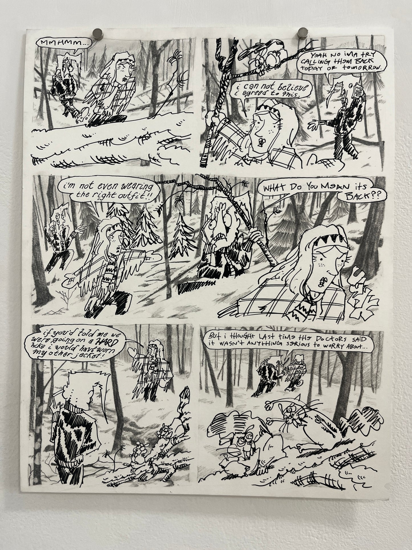 Nick Bunch Original Pages from "The Resurrection of Low Down Coyote"