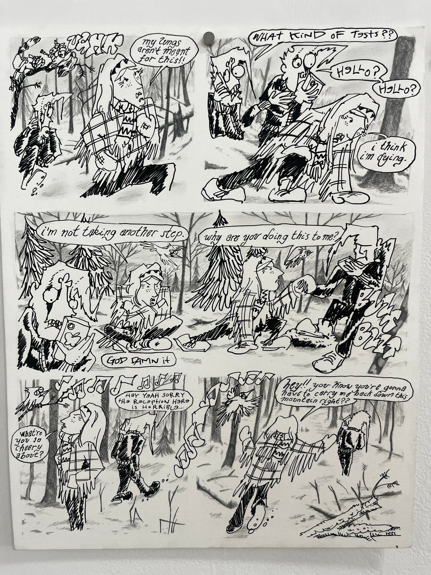 Nick Bunch Original Pages from "The Resurrection of Low Down Coyote"